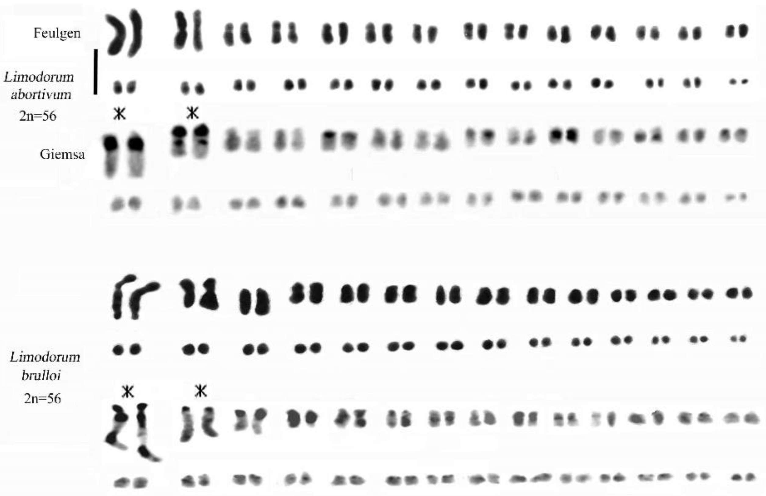 Plants 13 01776 g006