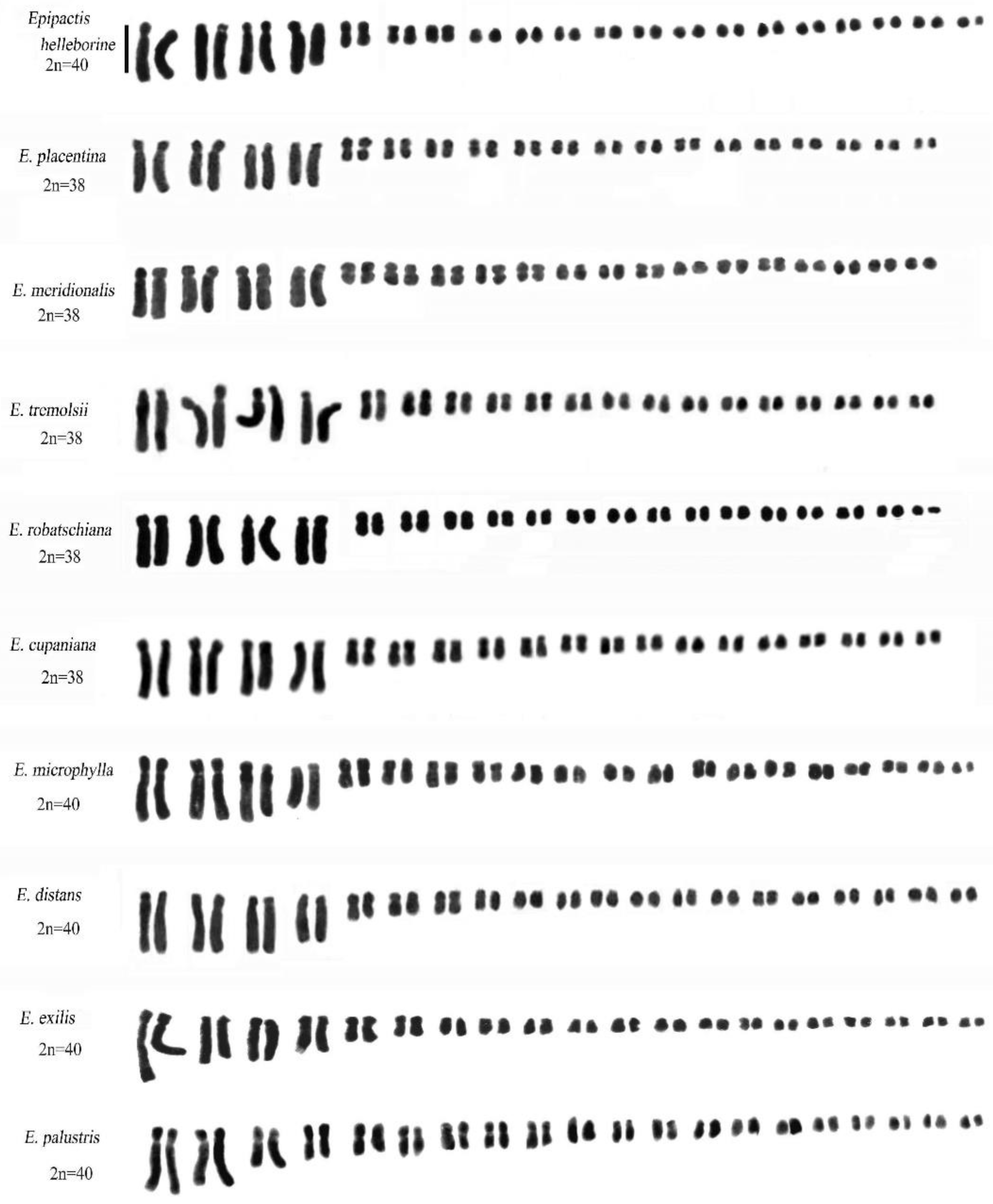 Plants 13 01776 g008