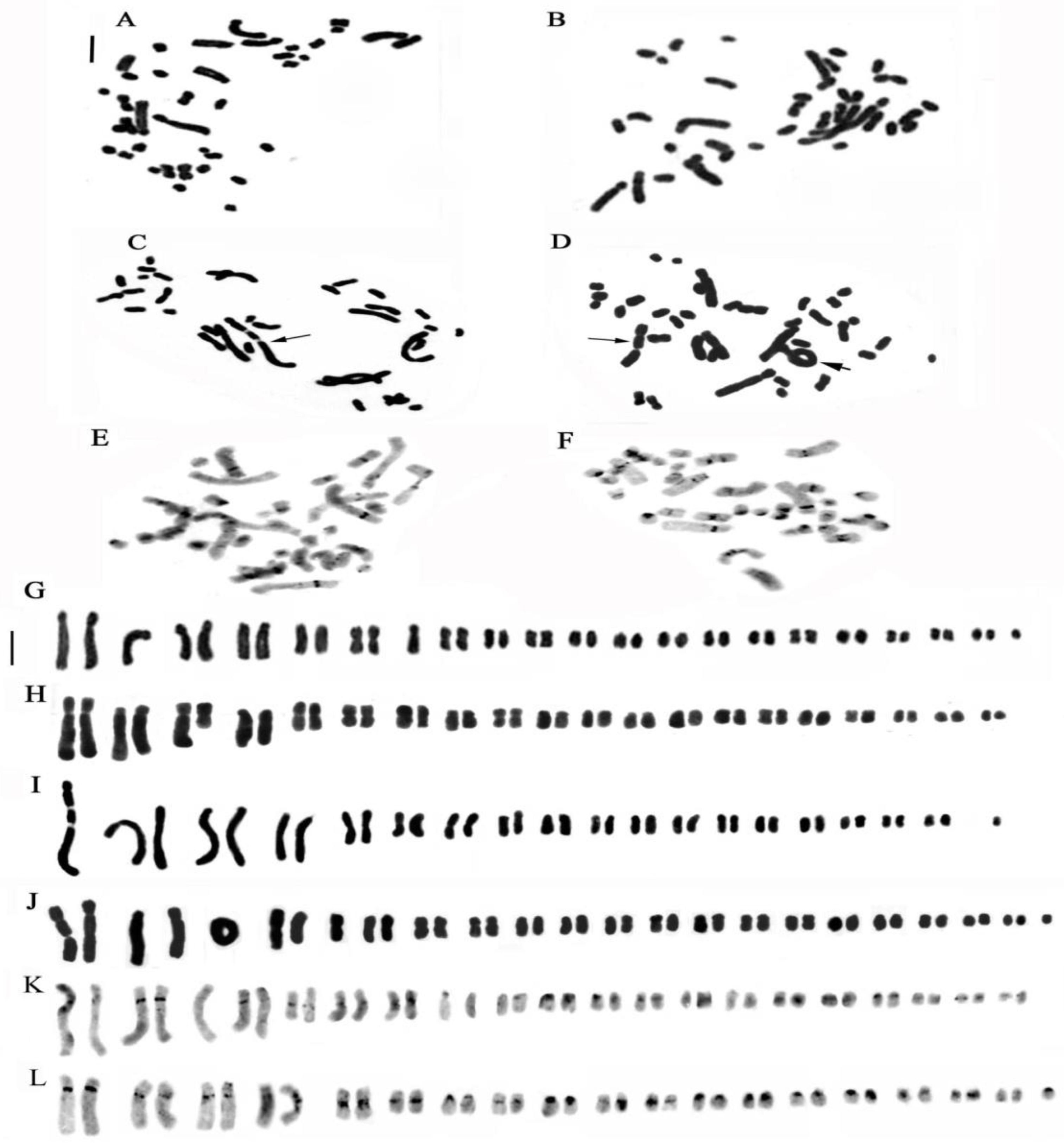 Plants 13 01776 g009