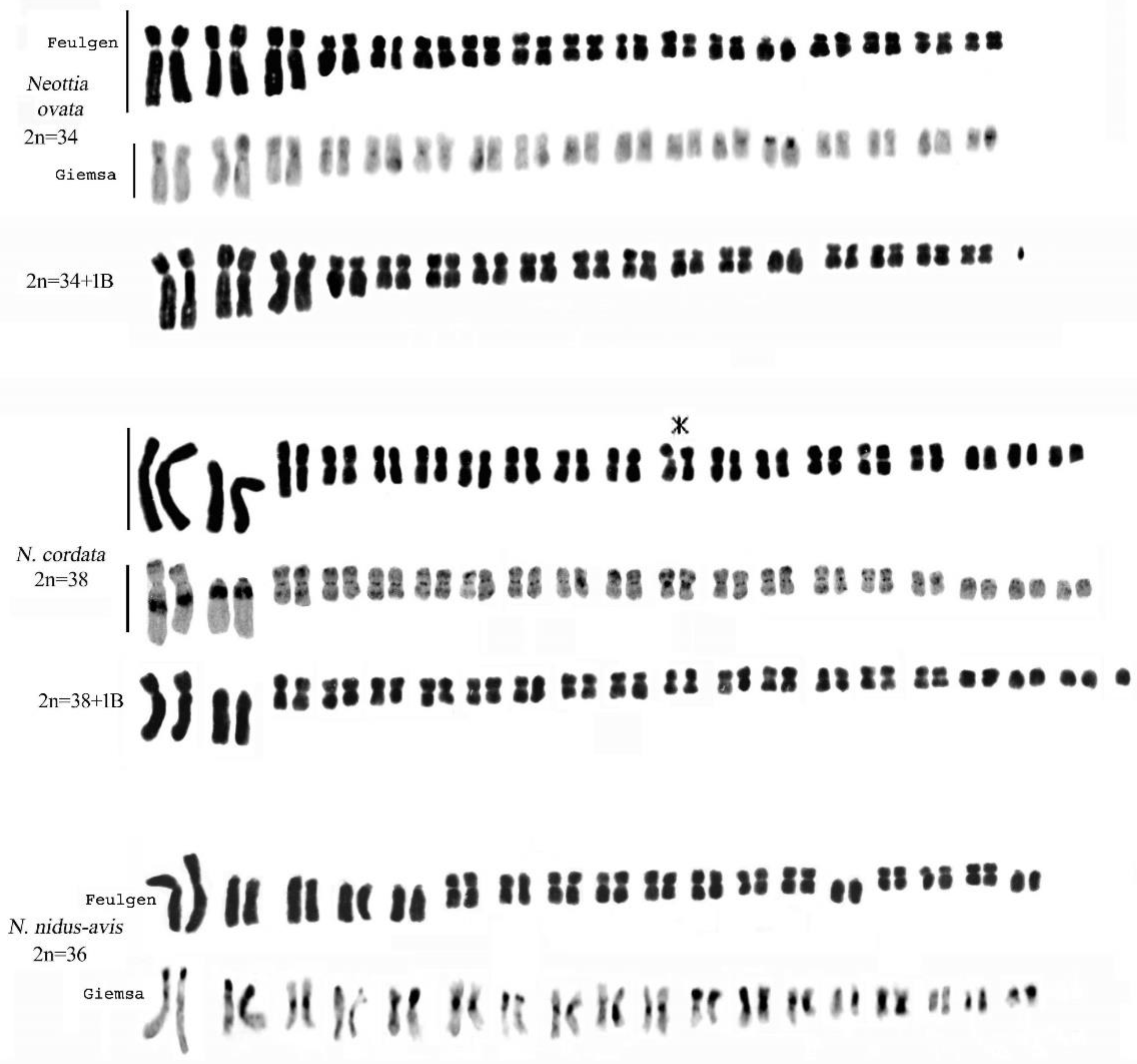 Plants 13 01776 g011