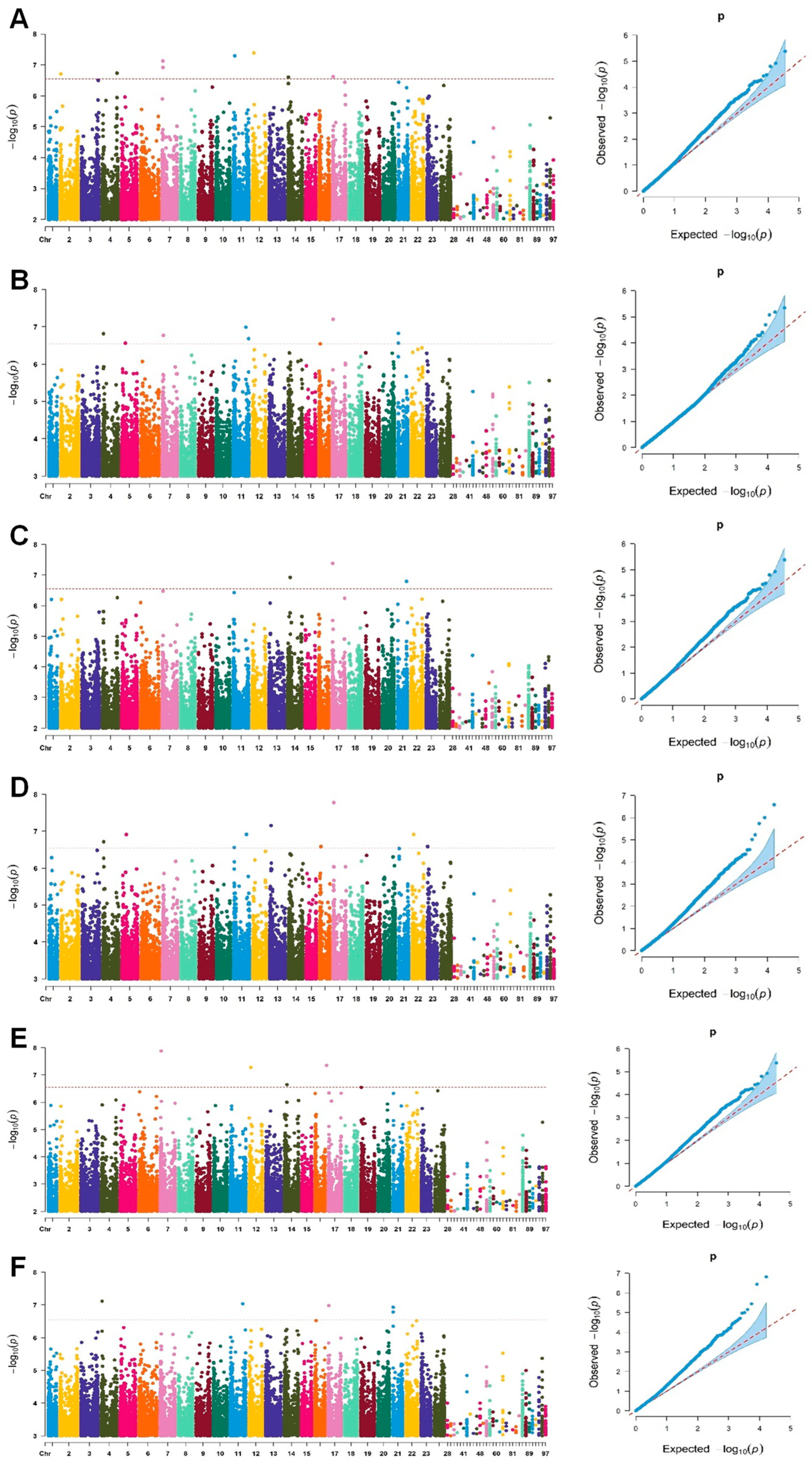 Plants 13 01784 g001