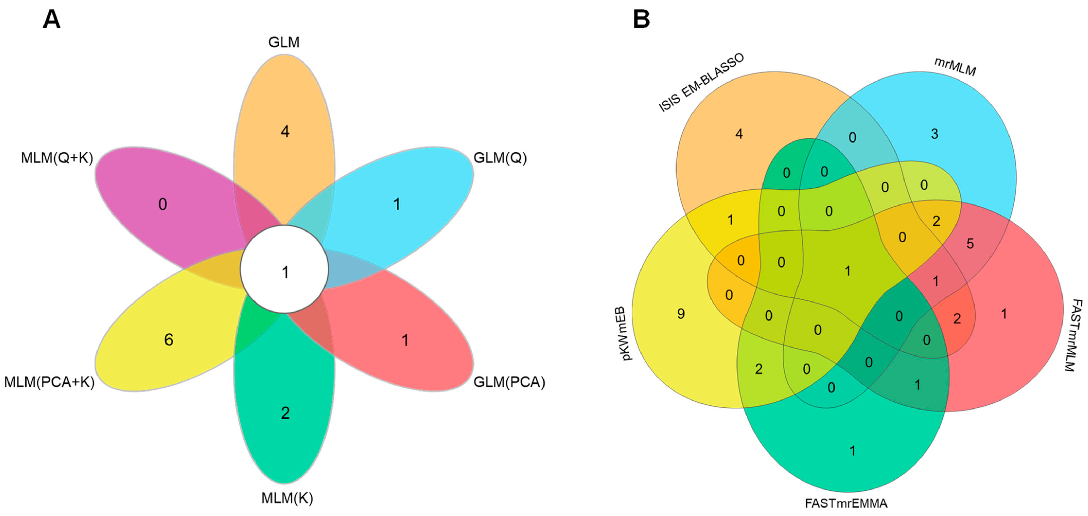 Plants 13 01784 g002