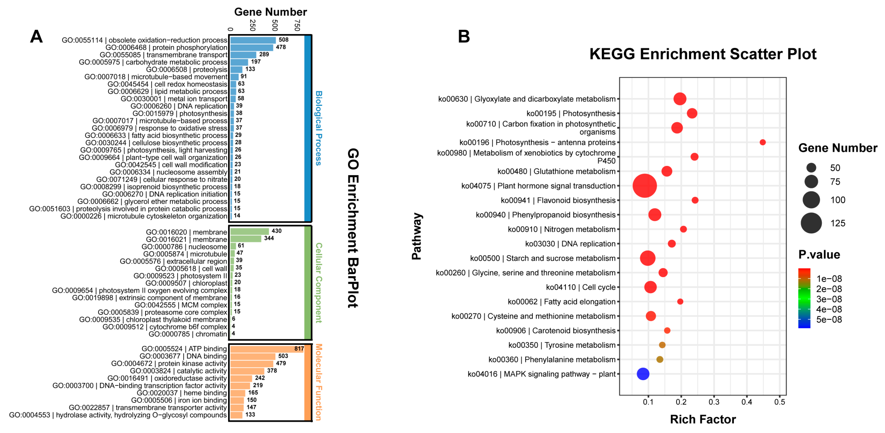 Plants 13 01789 g002