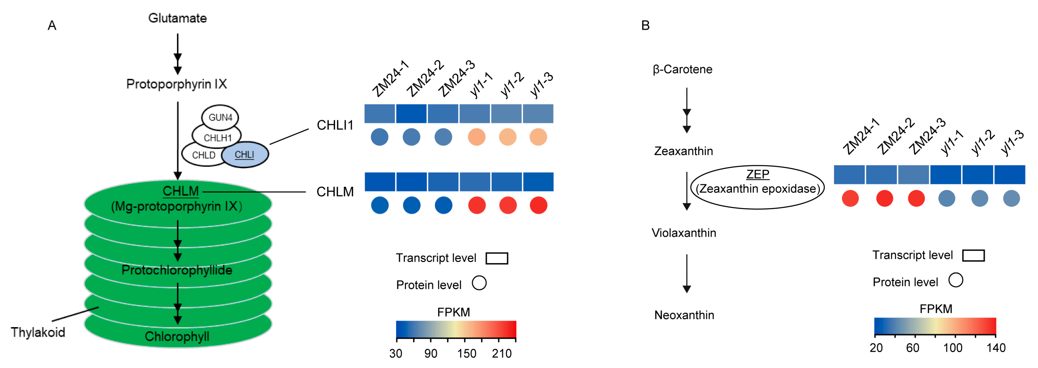 Plants 13 01789 g008