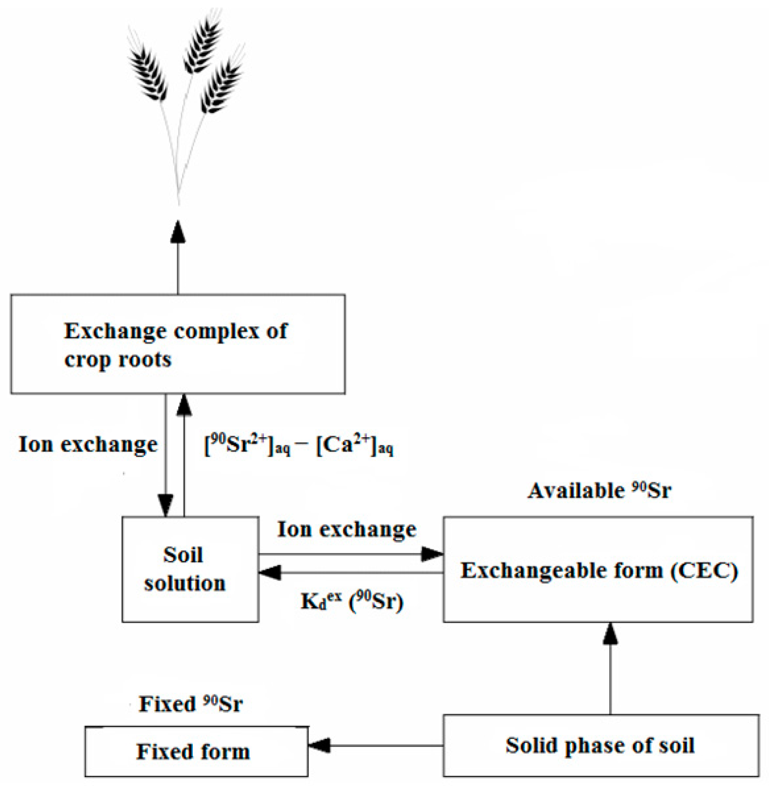 Plants 13 01798 g001 Plants 13 01798 g001