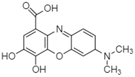 Plants 13 01802 i004 Plants 13 01802 i004