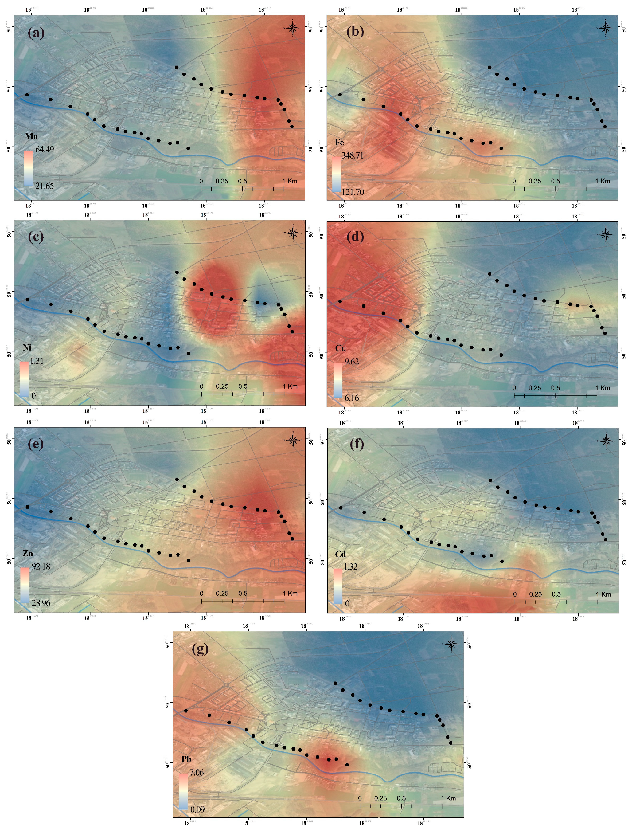 Plants 13 01805 g001