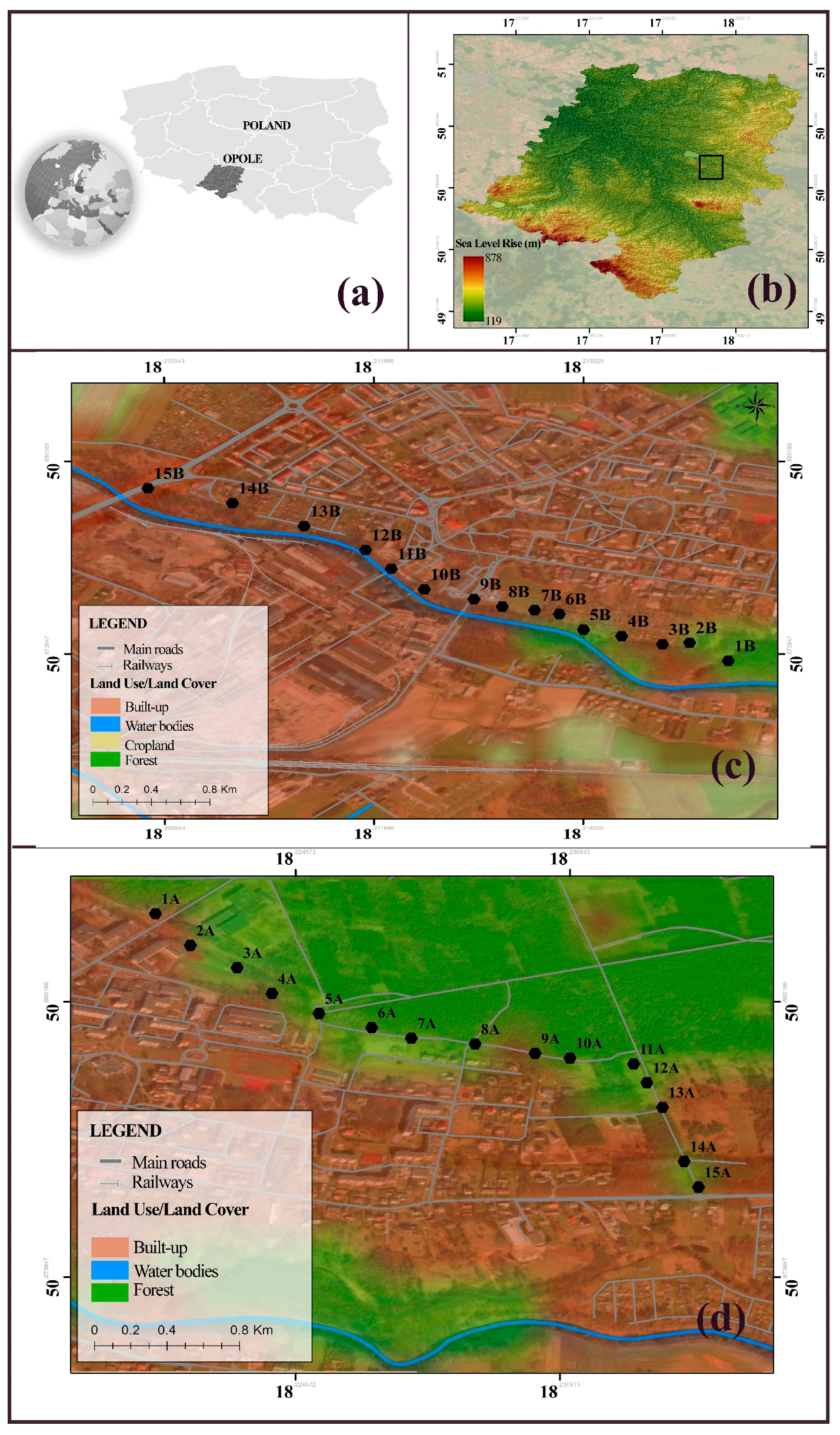 Plants 13 01805 g003