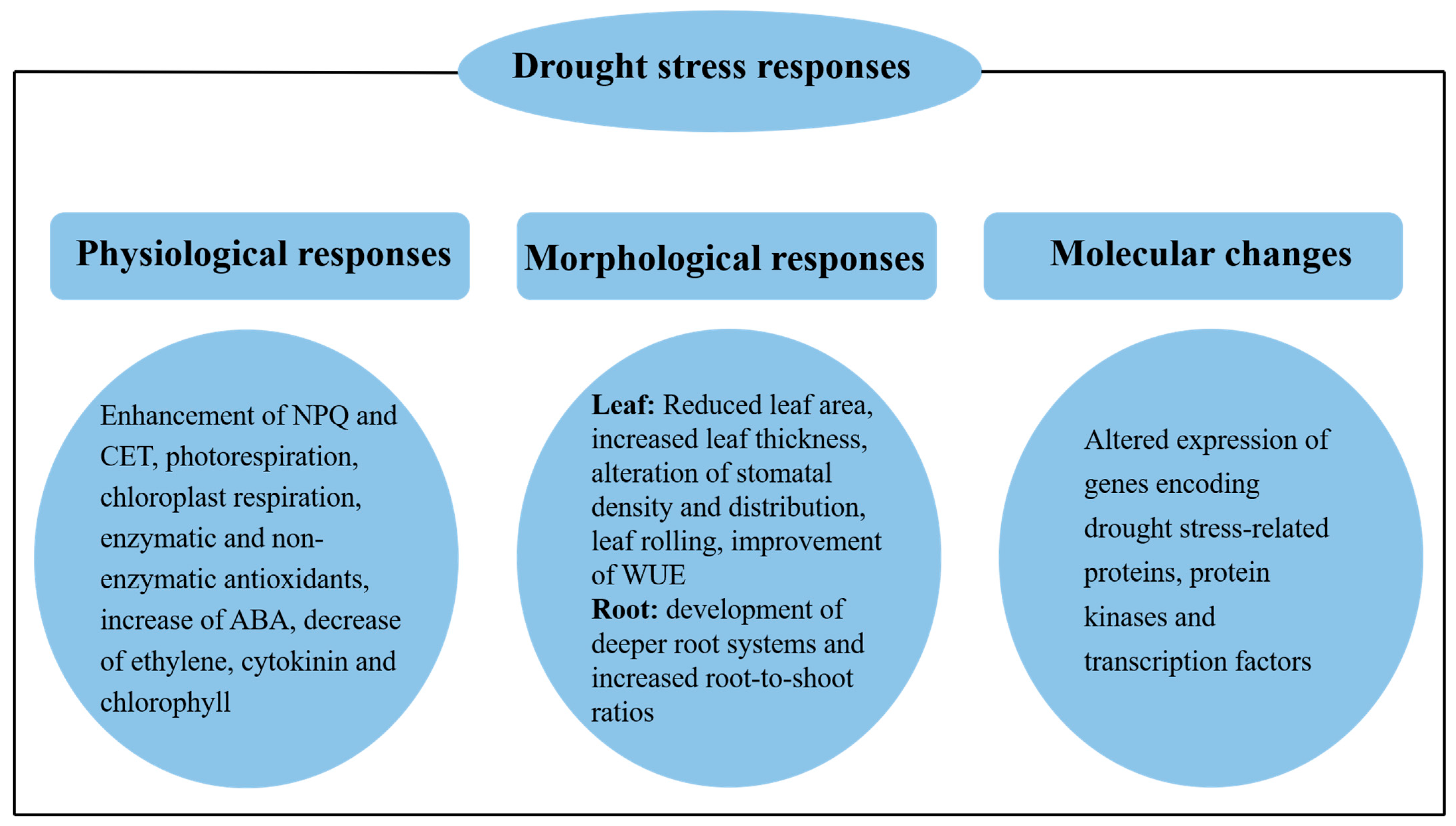 Plants 13 01808 g002