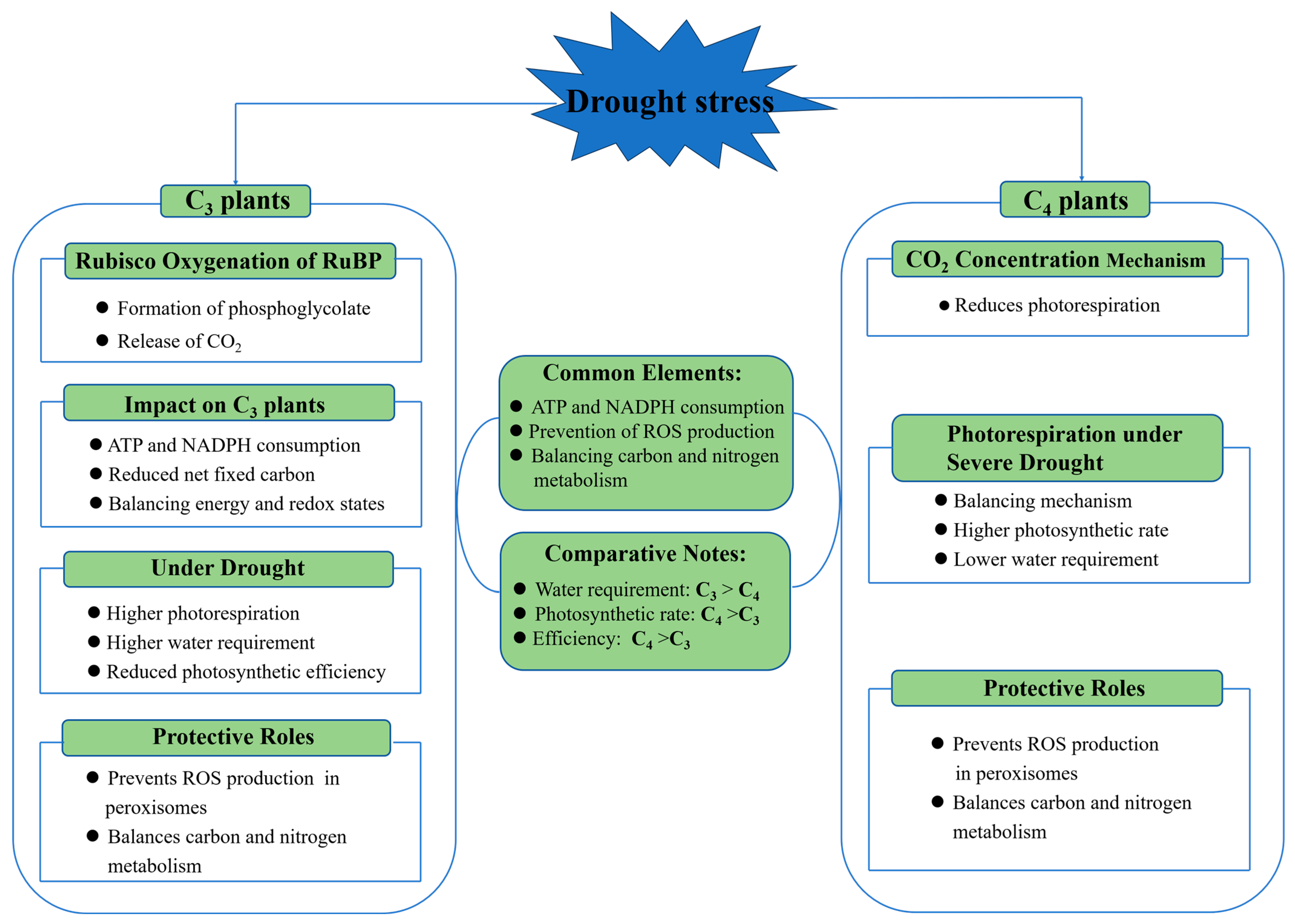 Plants 13 01808 g003