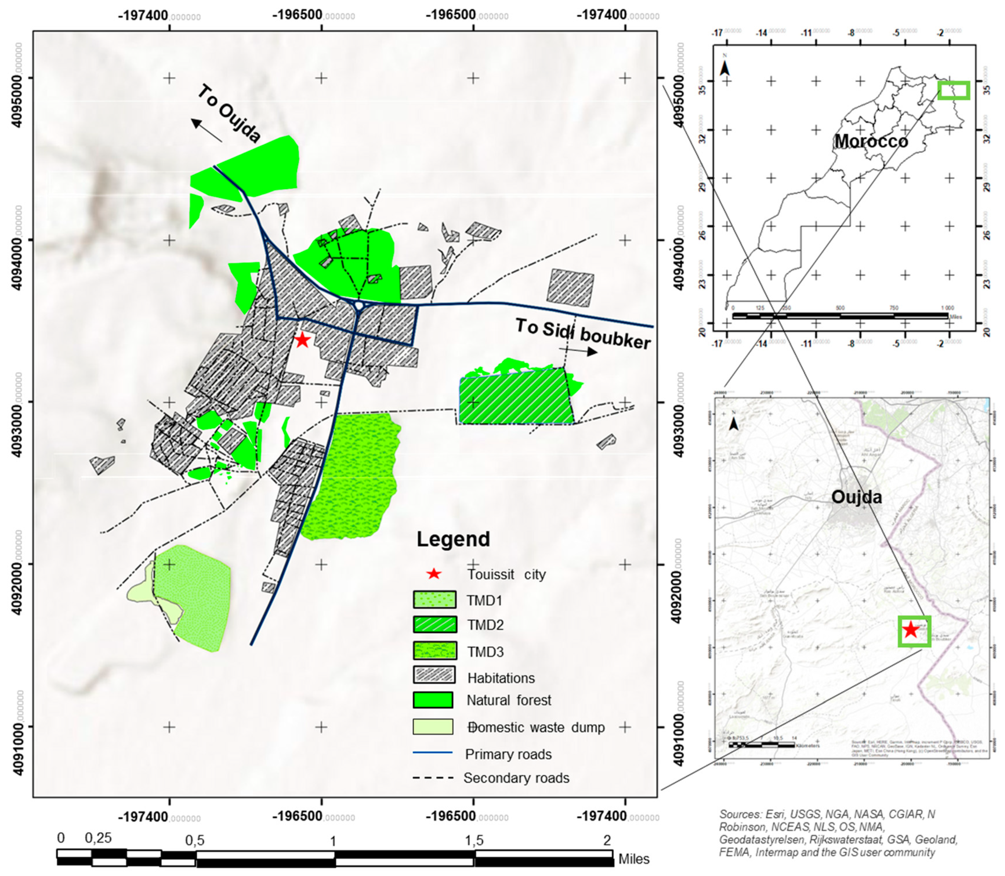 Plants 13 01811 g006