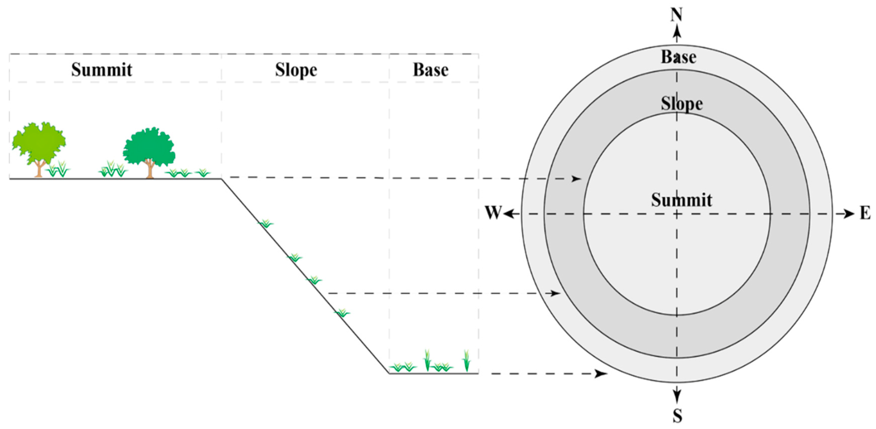 Plants 13 01811 g007