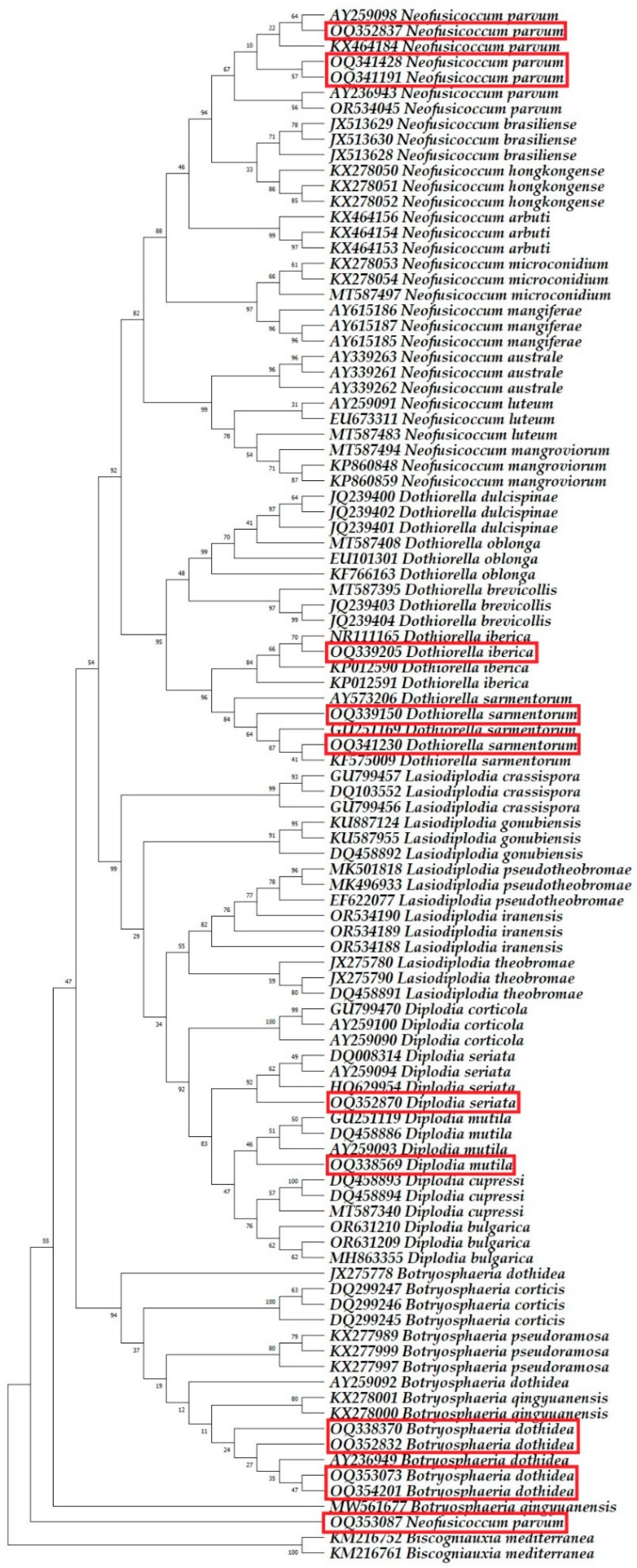 Plants 13 01813 g008