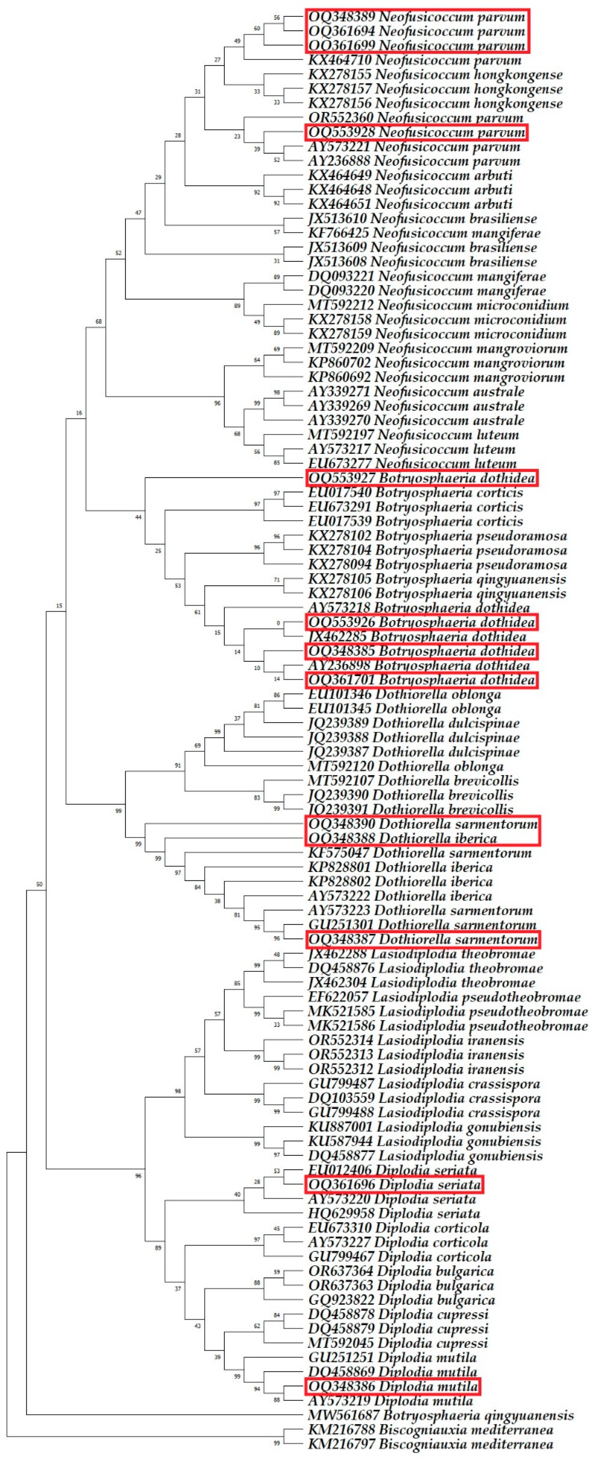 Plants 13 01813 g010