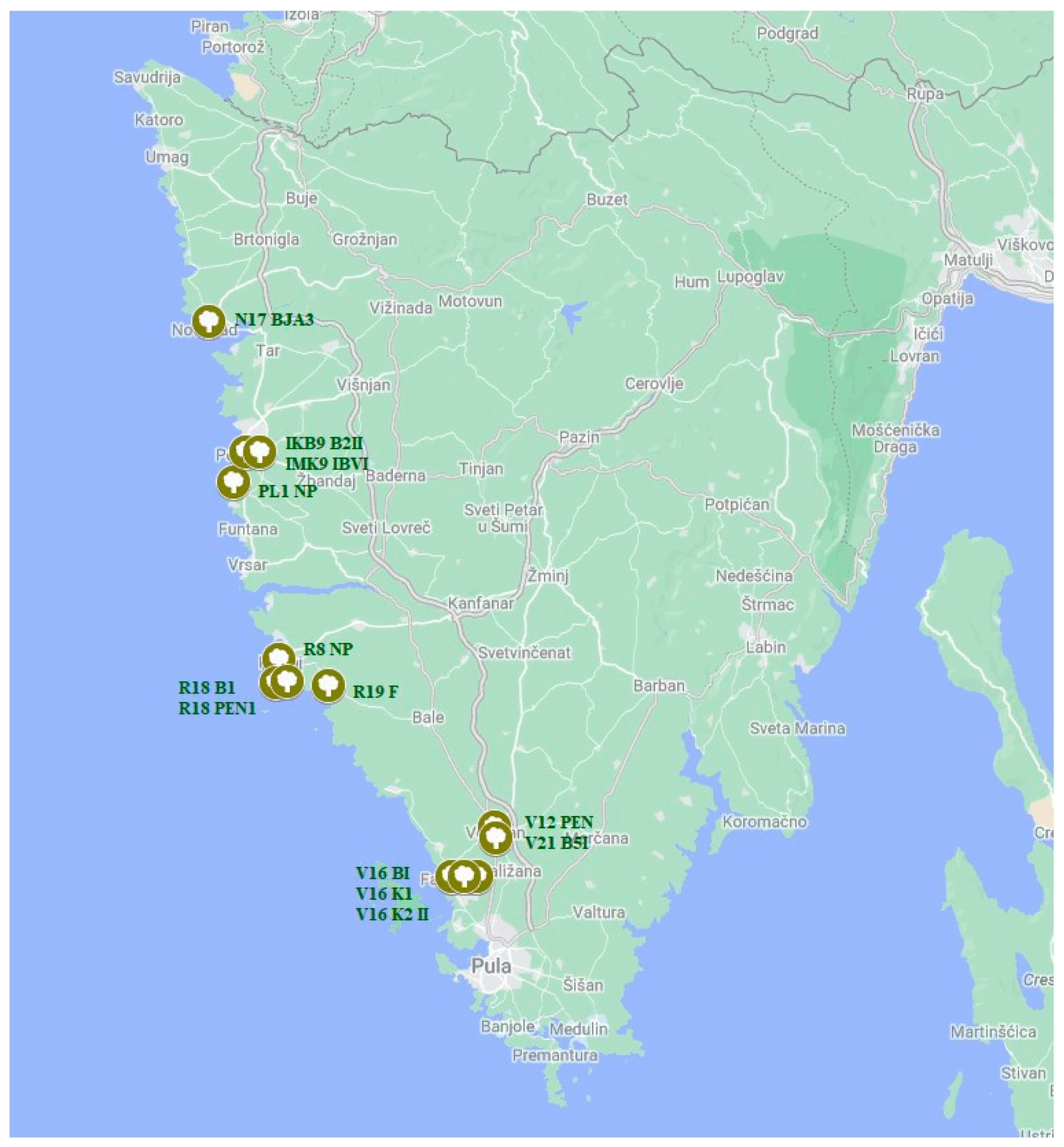 Plants 13 01813 g017