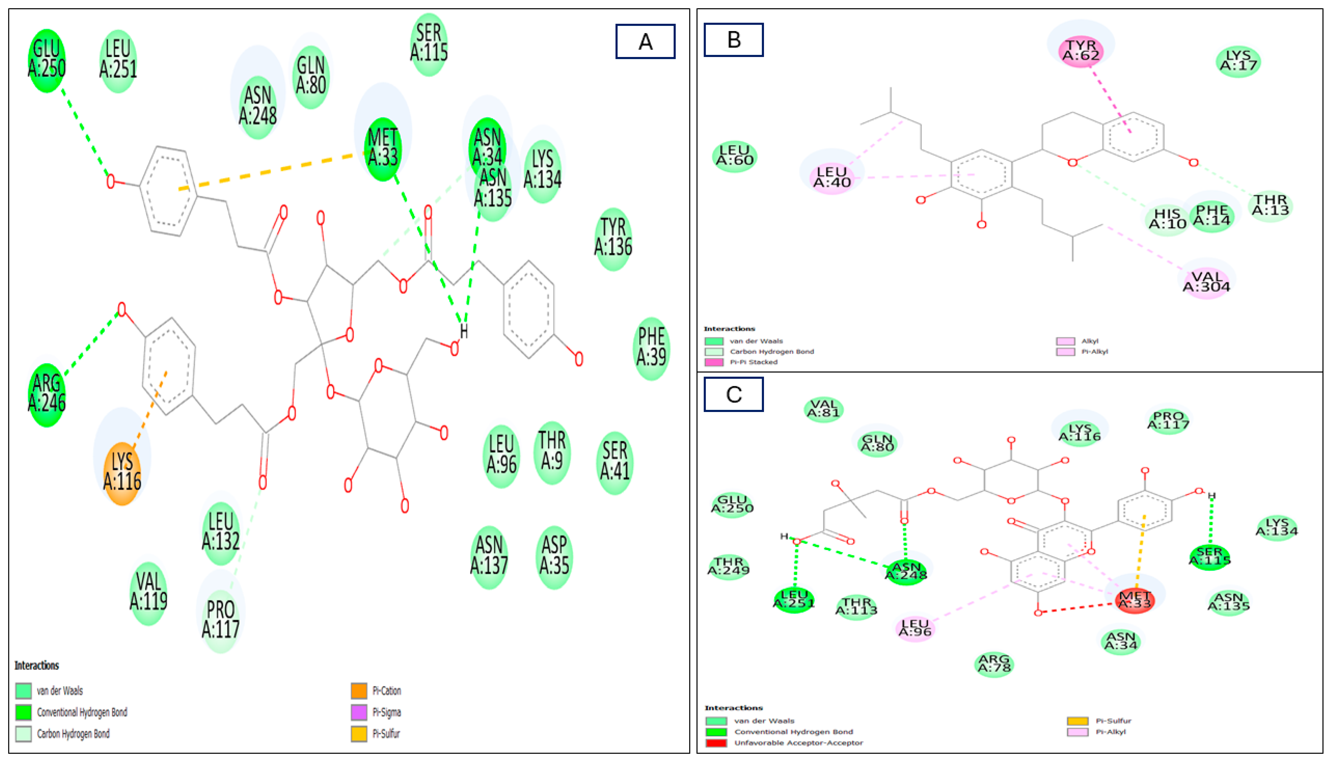 Plants 13 01815 g007 Plants 13 01815 g007