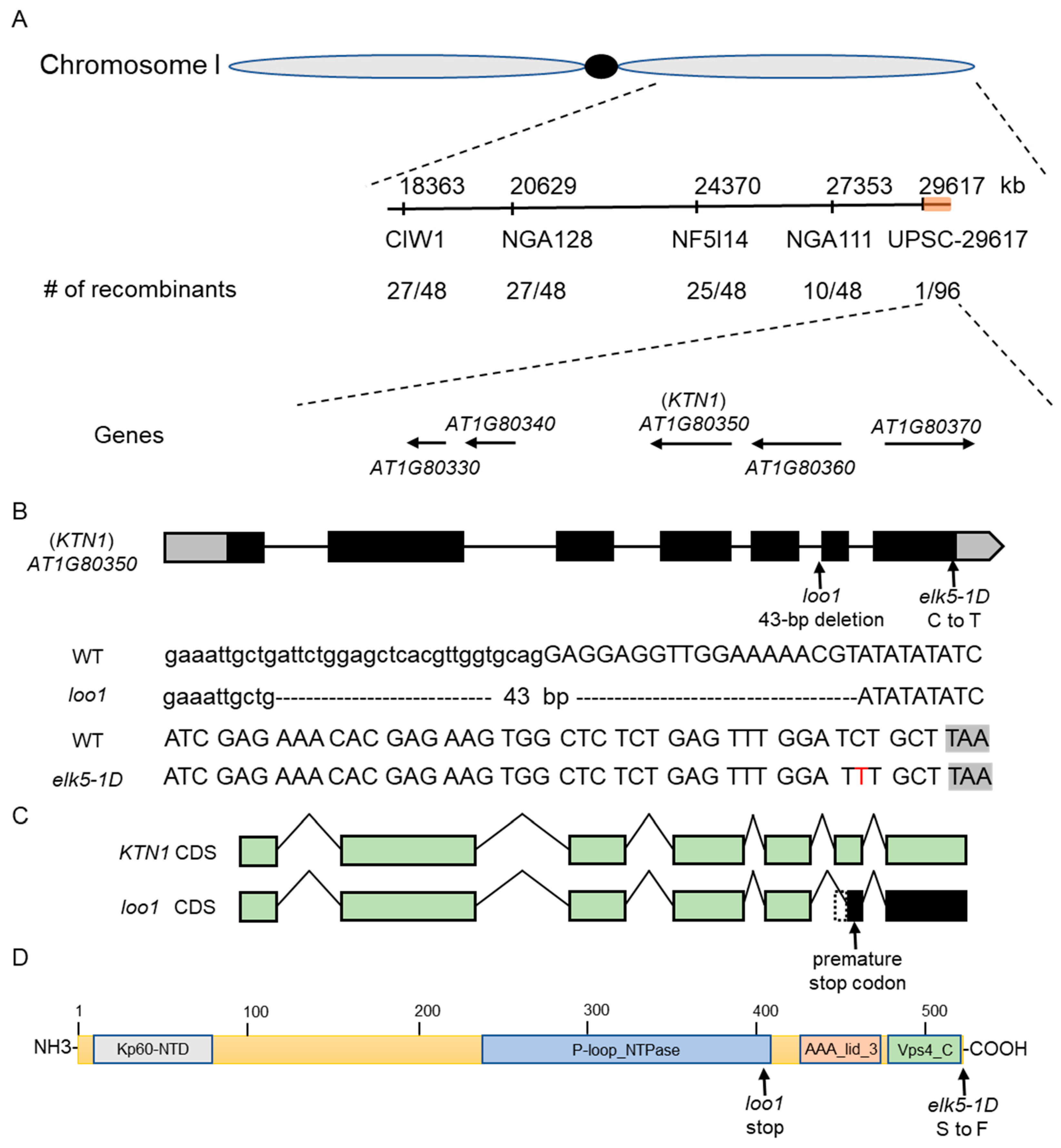 Plants 13 01824 g004