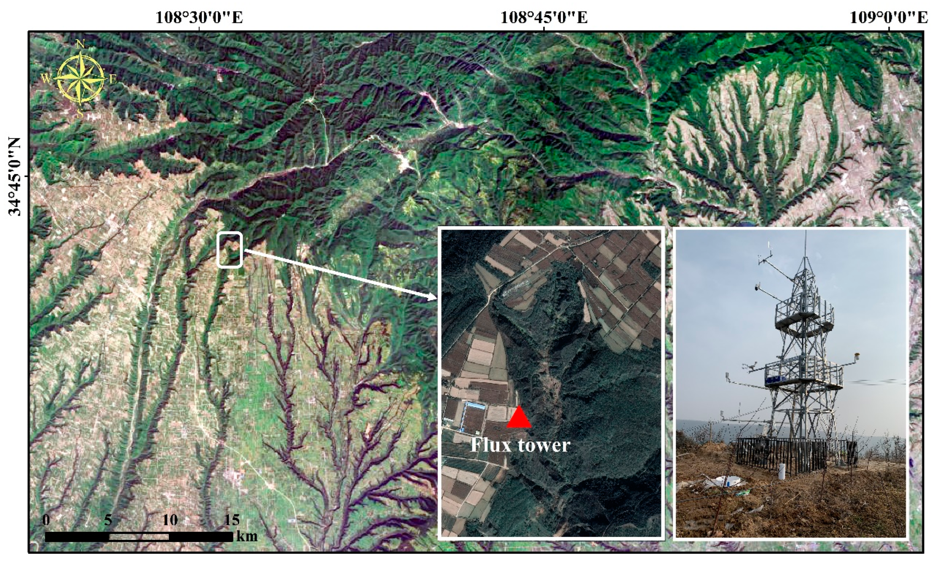 Plants 13 01826 g001