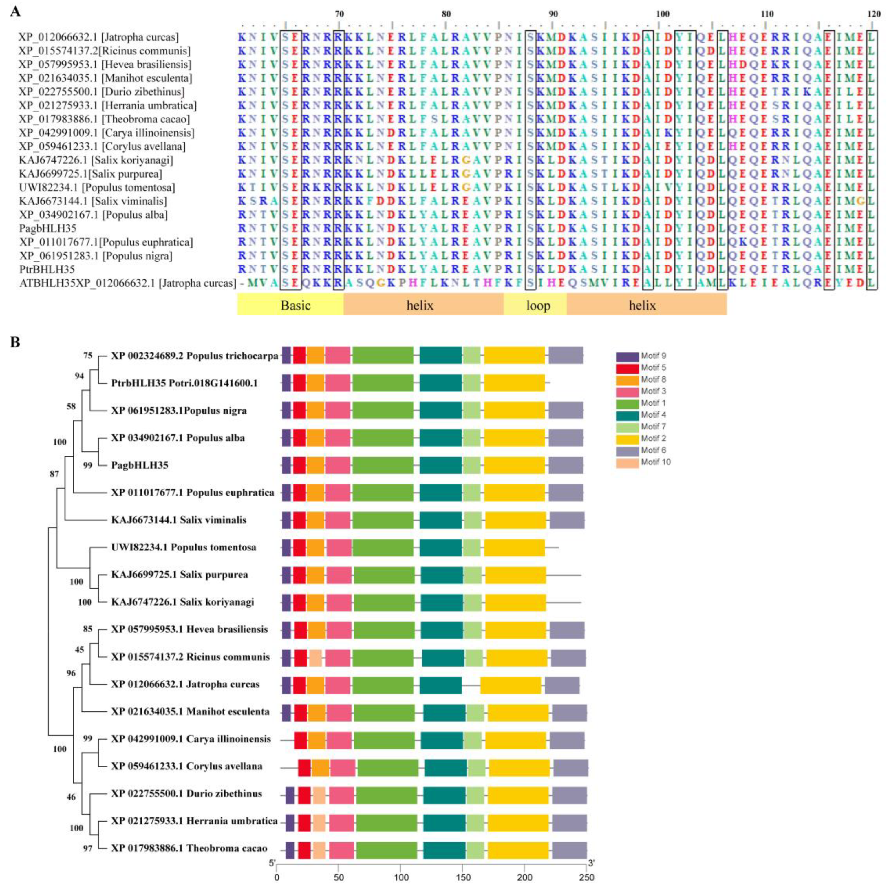 Plants 13 01835 g002