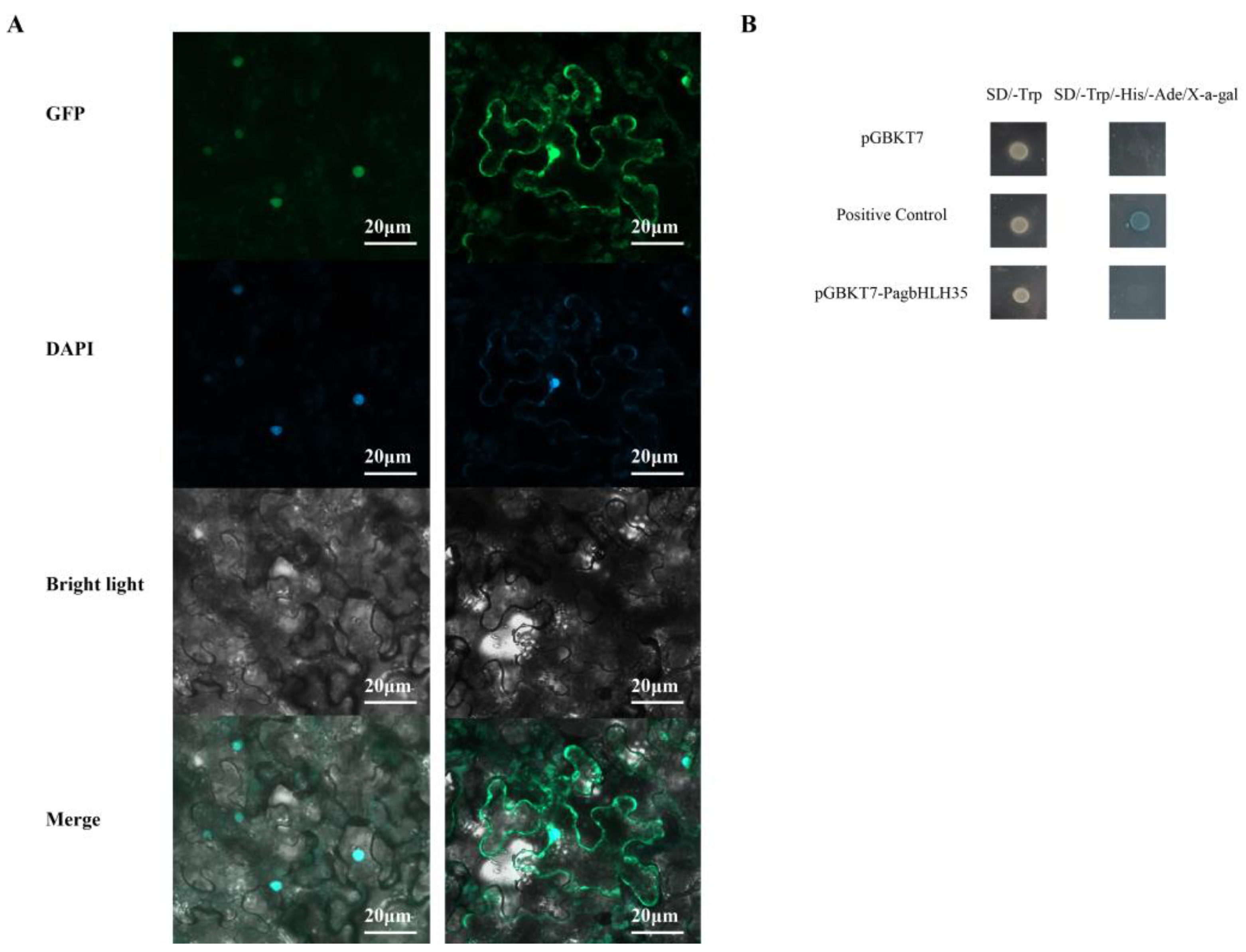 Plants 13 01835 g003