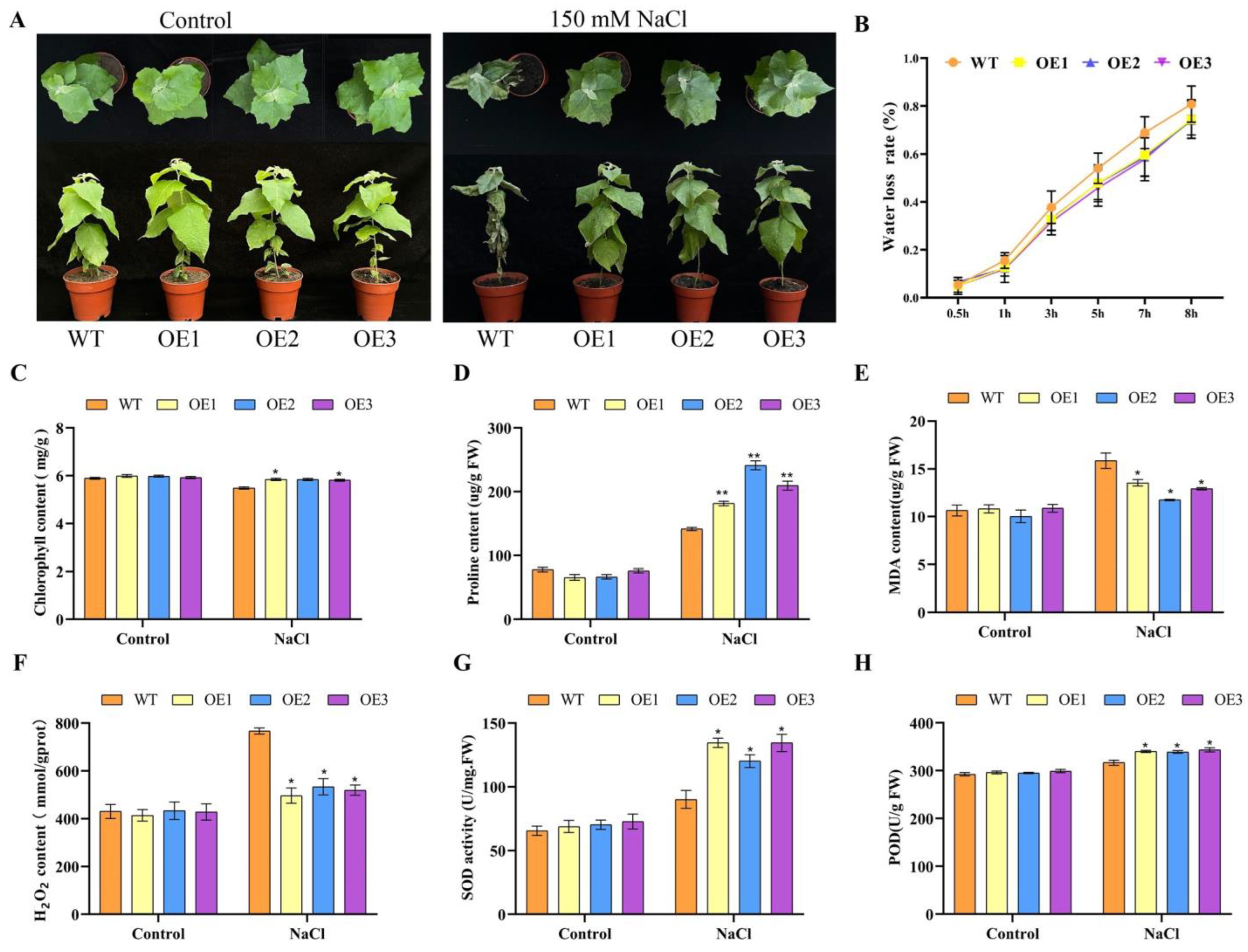 Plants 13 01835 g006