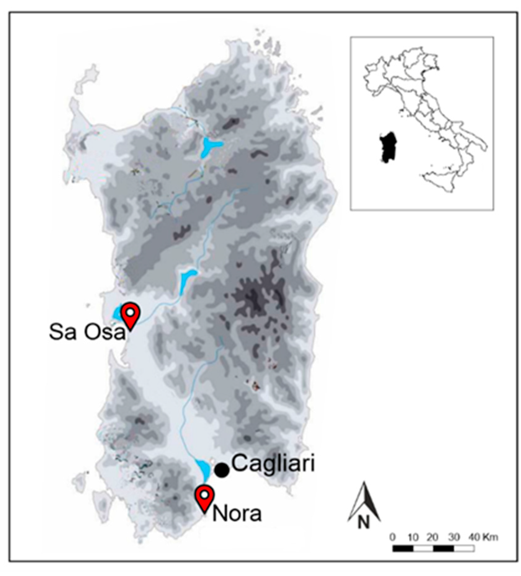 Plants 13 01836 g004
