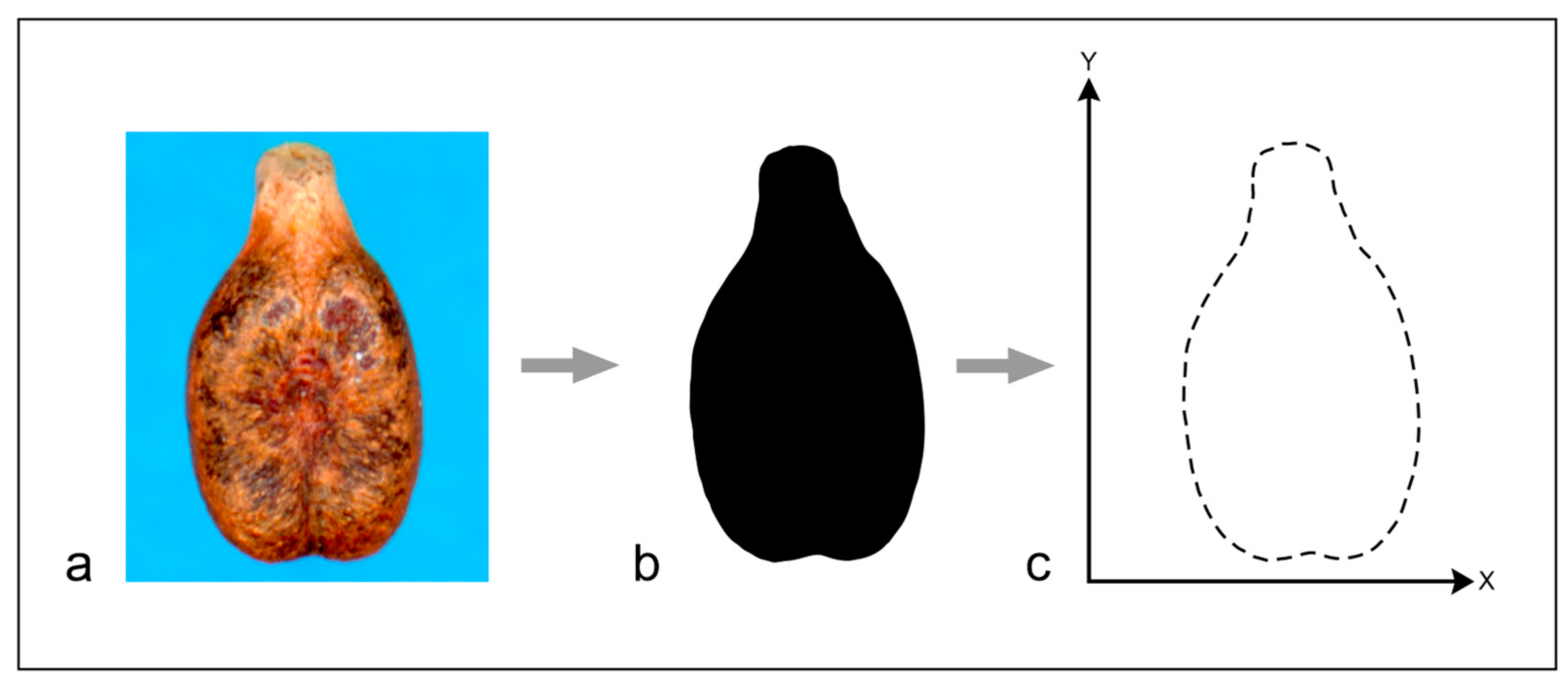 Plants 13 01836 g005