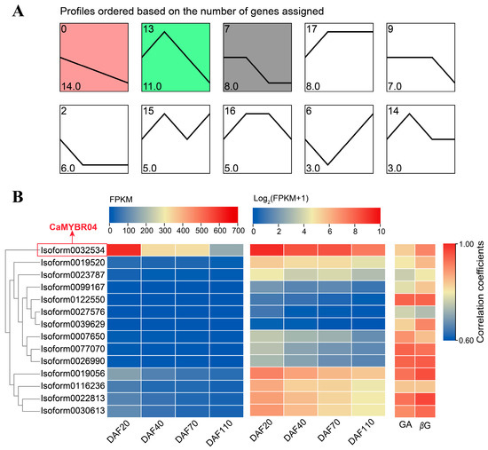 Identification of MYB Transcription Factor, a Regulator Related to ...