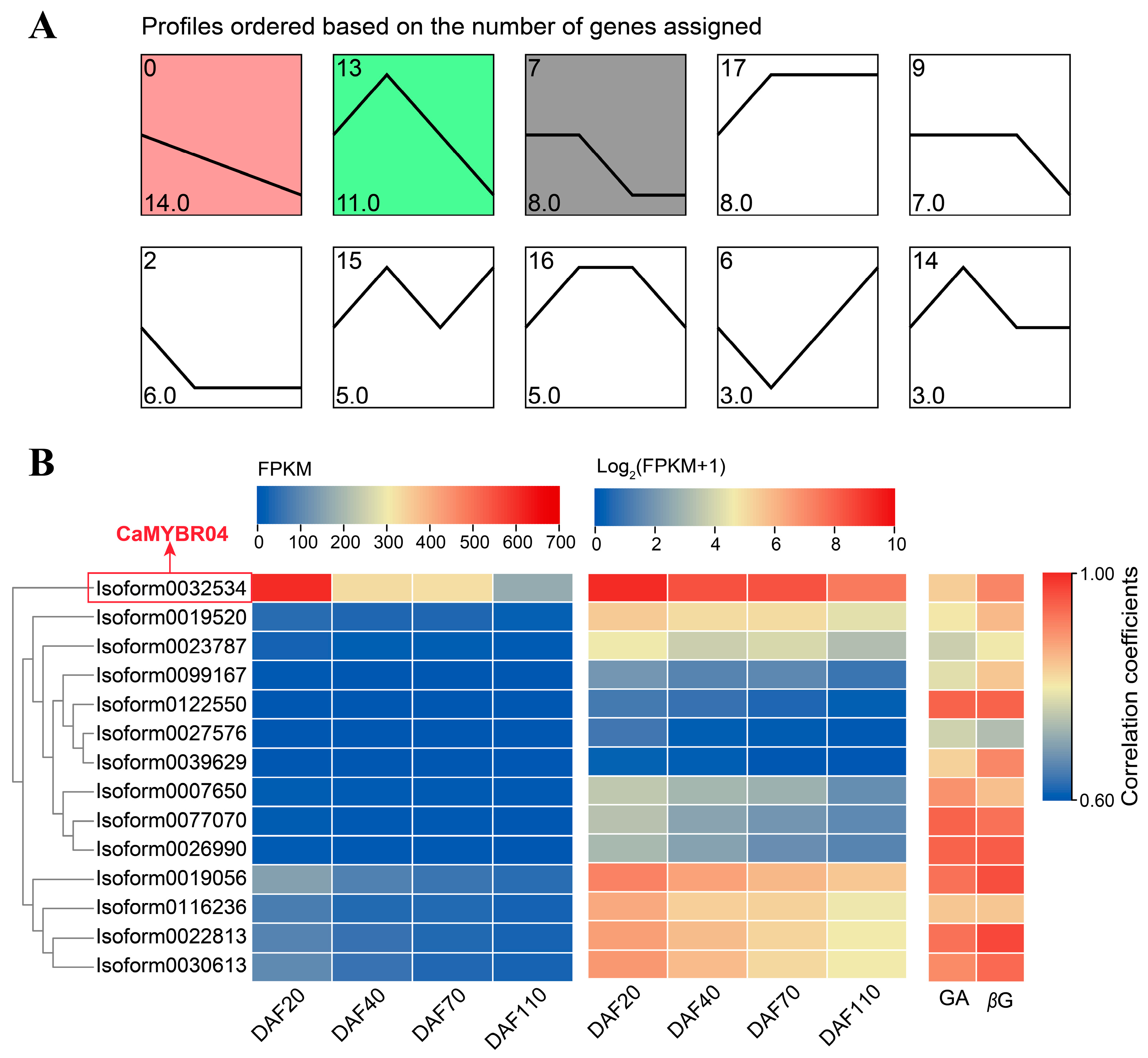 Plants 13 01837 g003