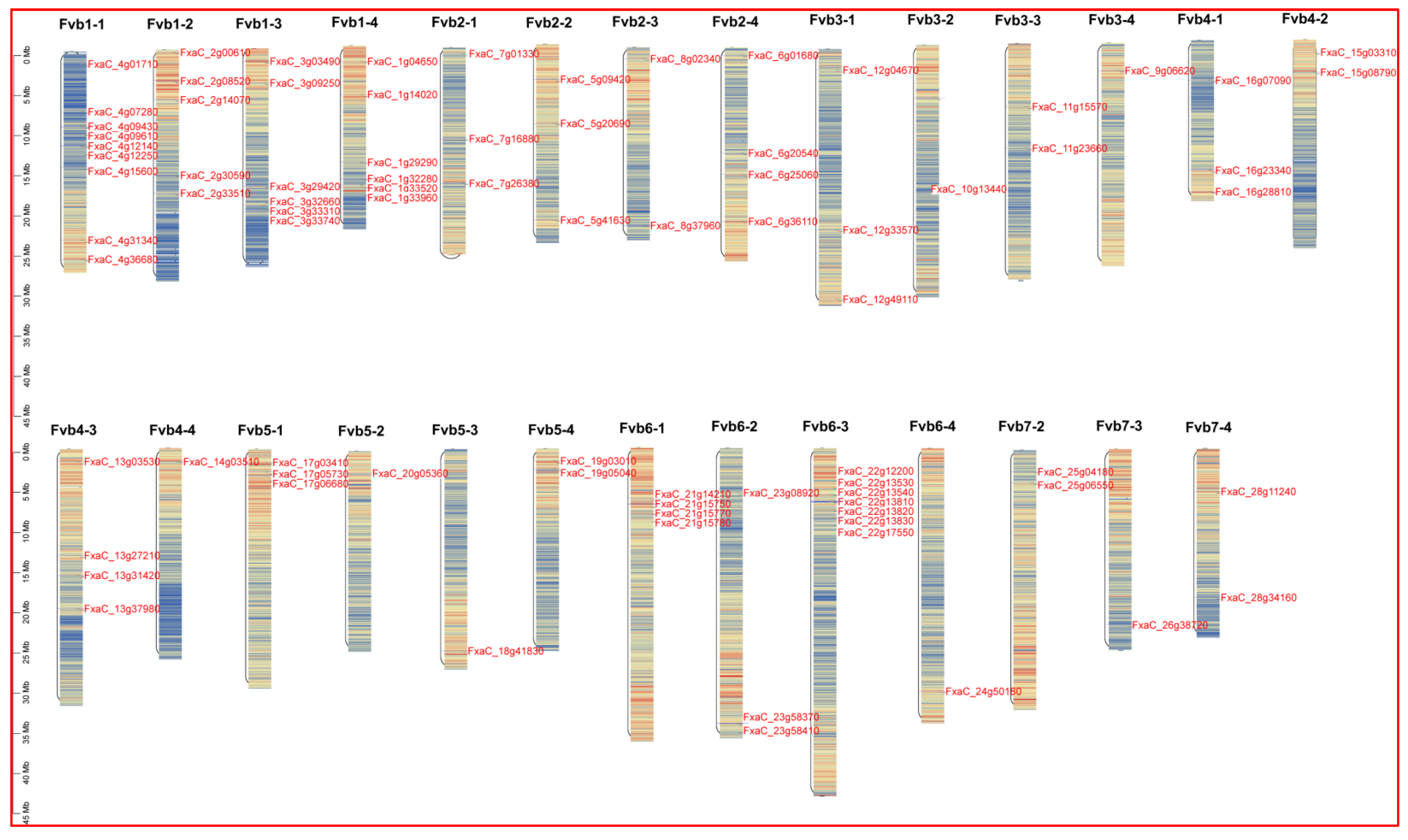 Plants 13 01838 g001