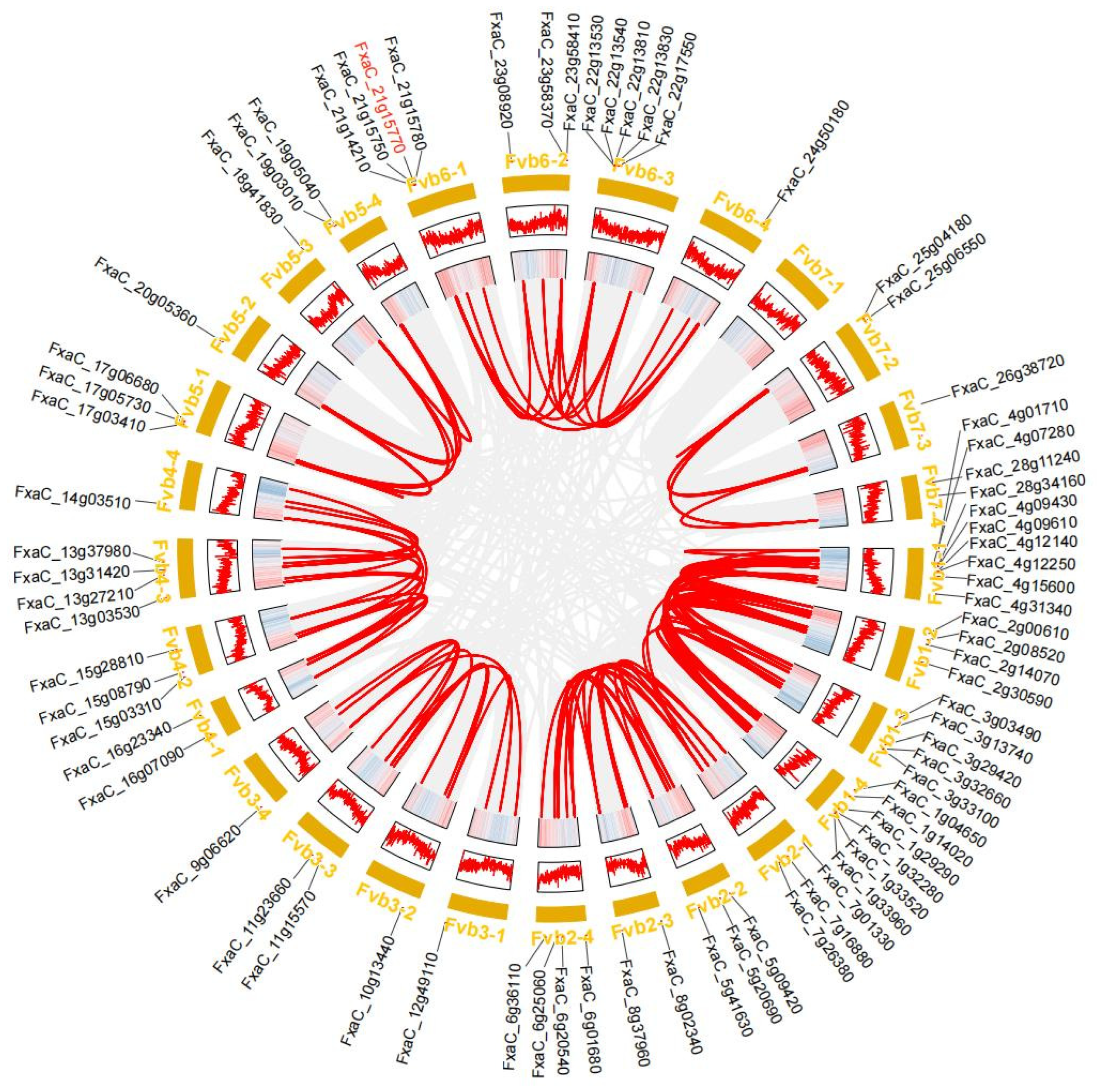 Plants 13 01838 g004