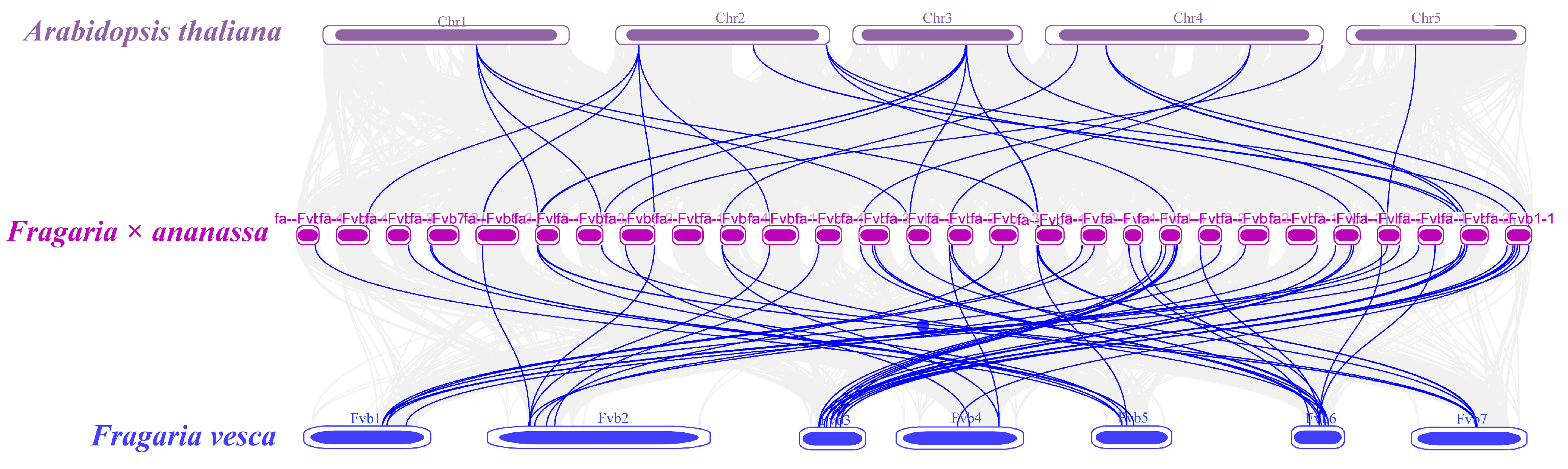 Plants 13 01838 g005
