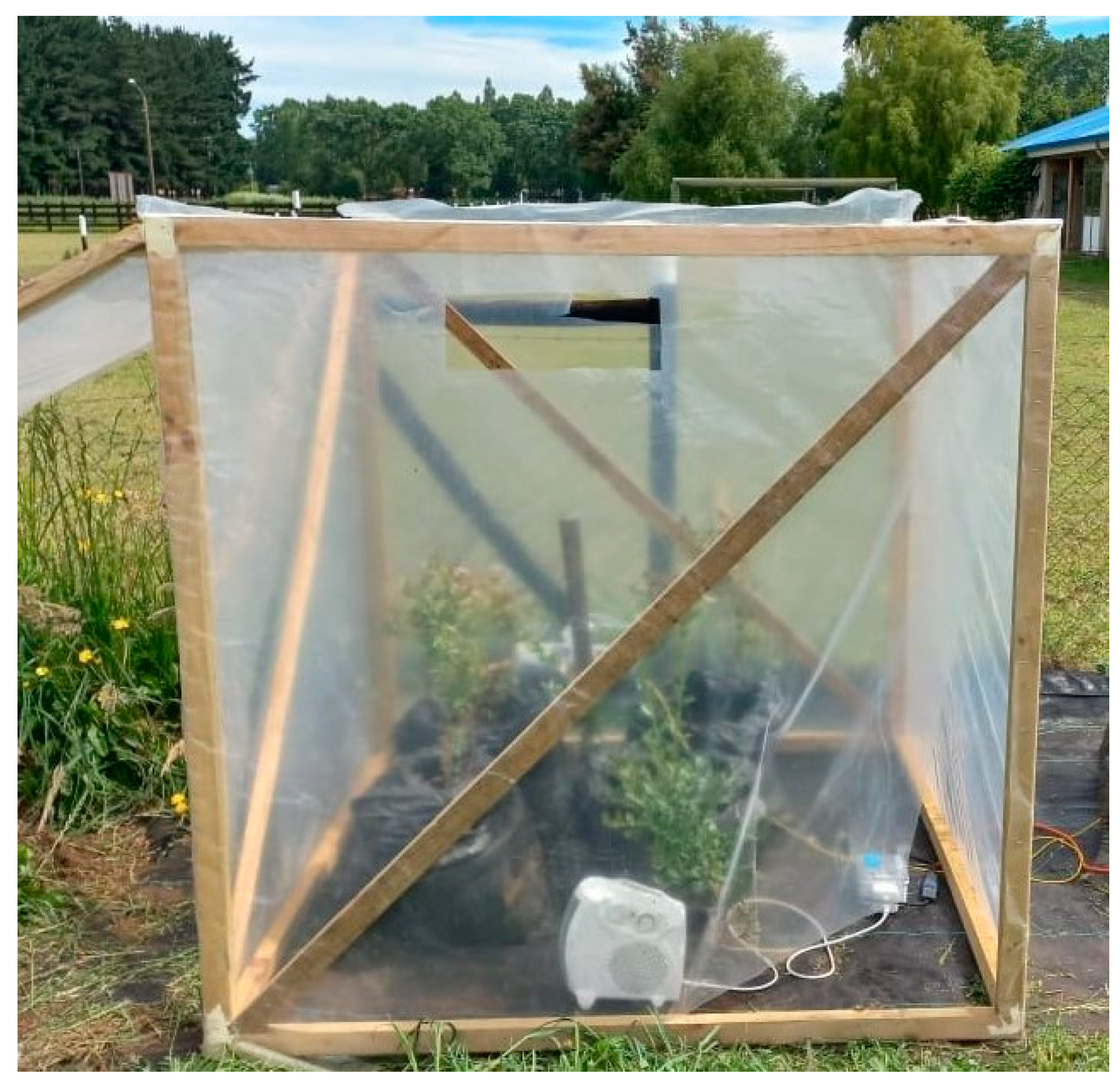 Plants 13 01846 g007