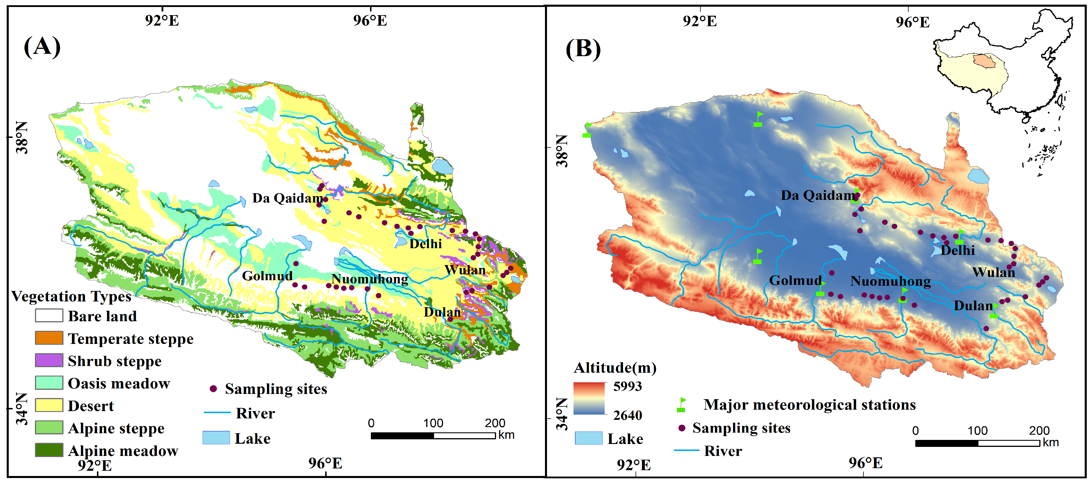 Plants 13 01849 g001
