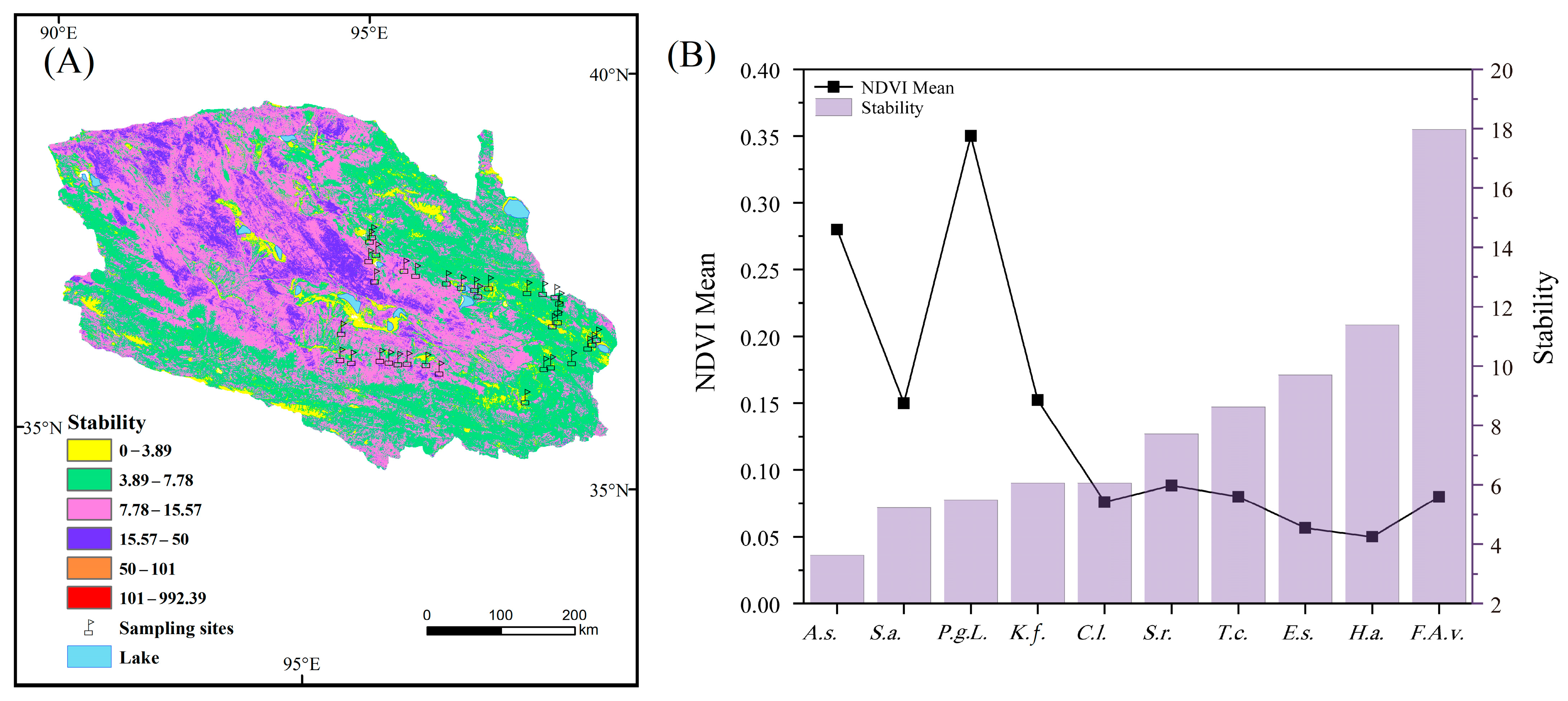 Plants 13 01849 g005