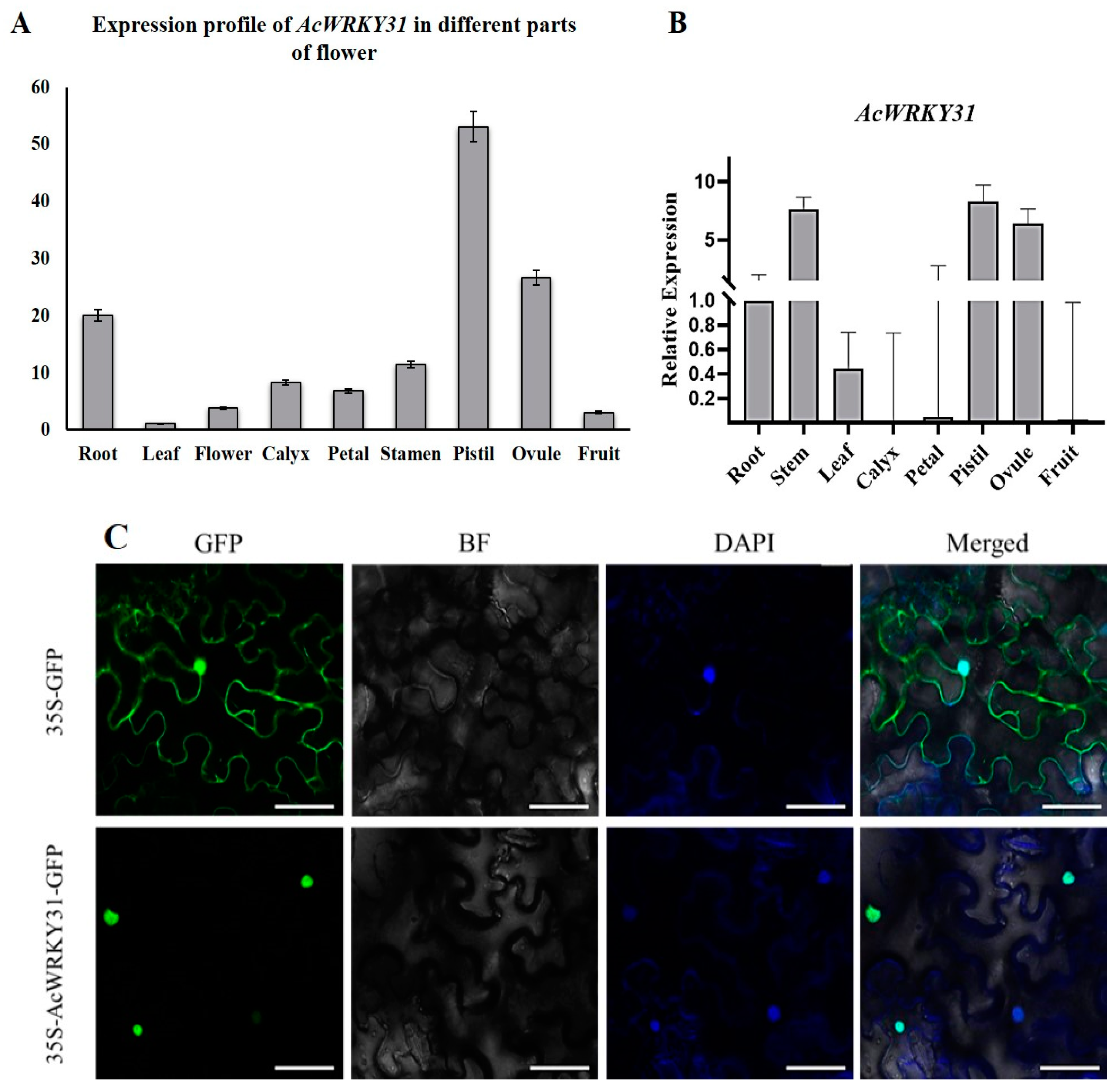 Plants 13 01850 g001 Plants 13 01850 g001