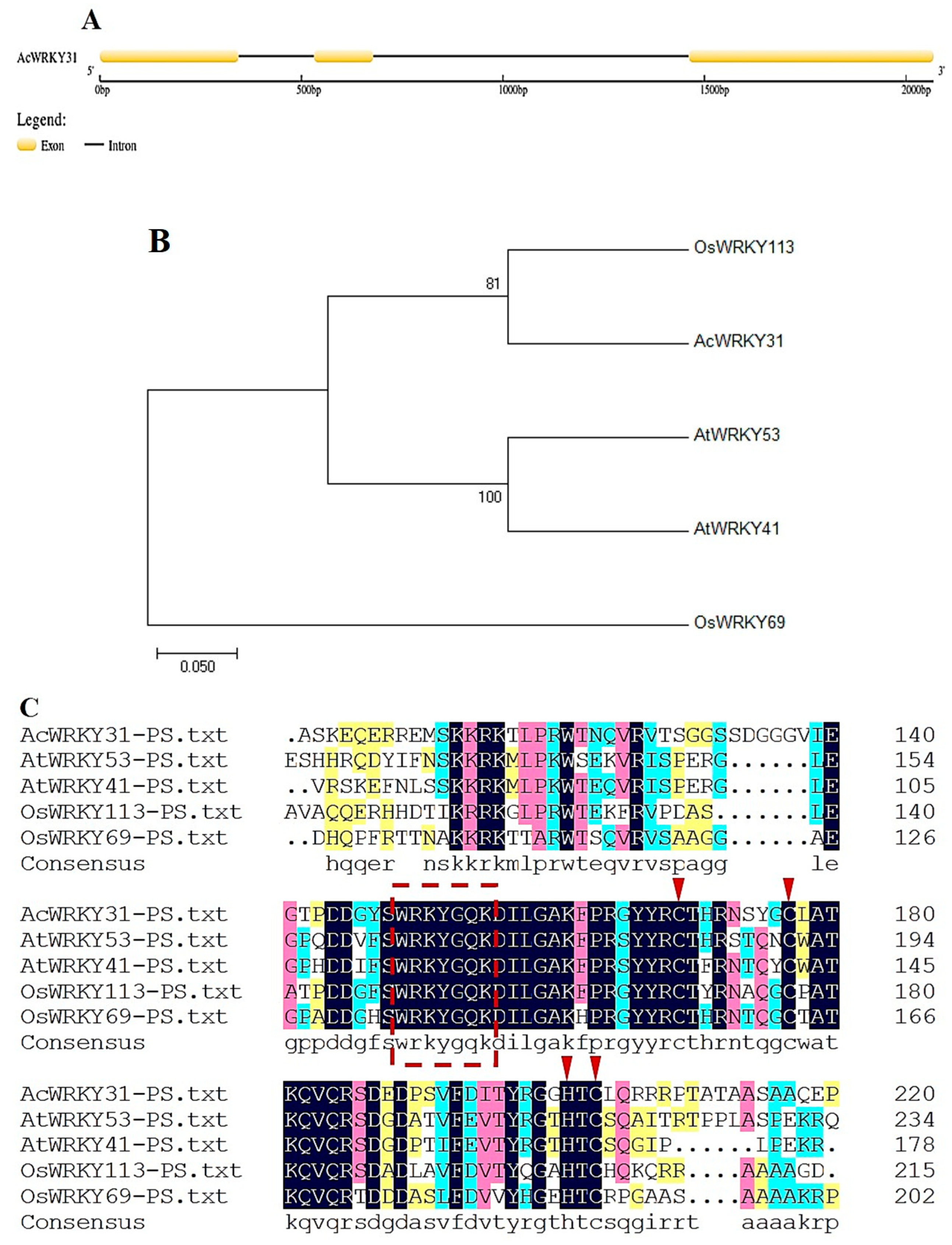 Plants 13 01850 g002 Plants 13 01850 g002