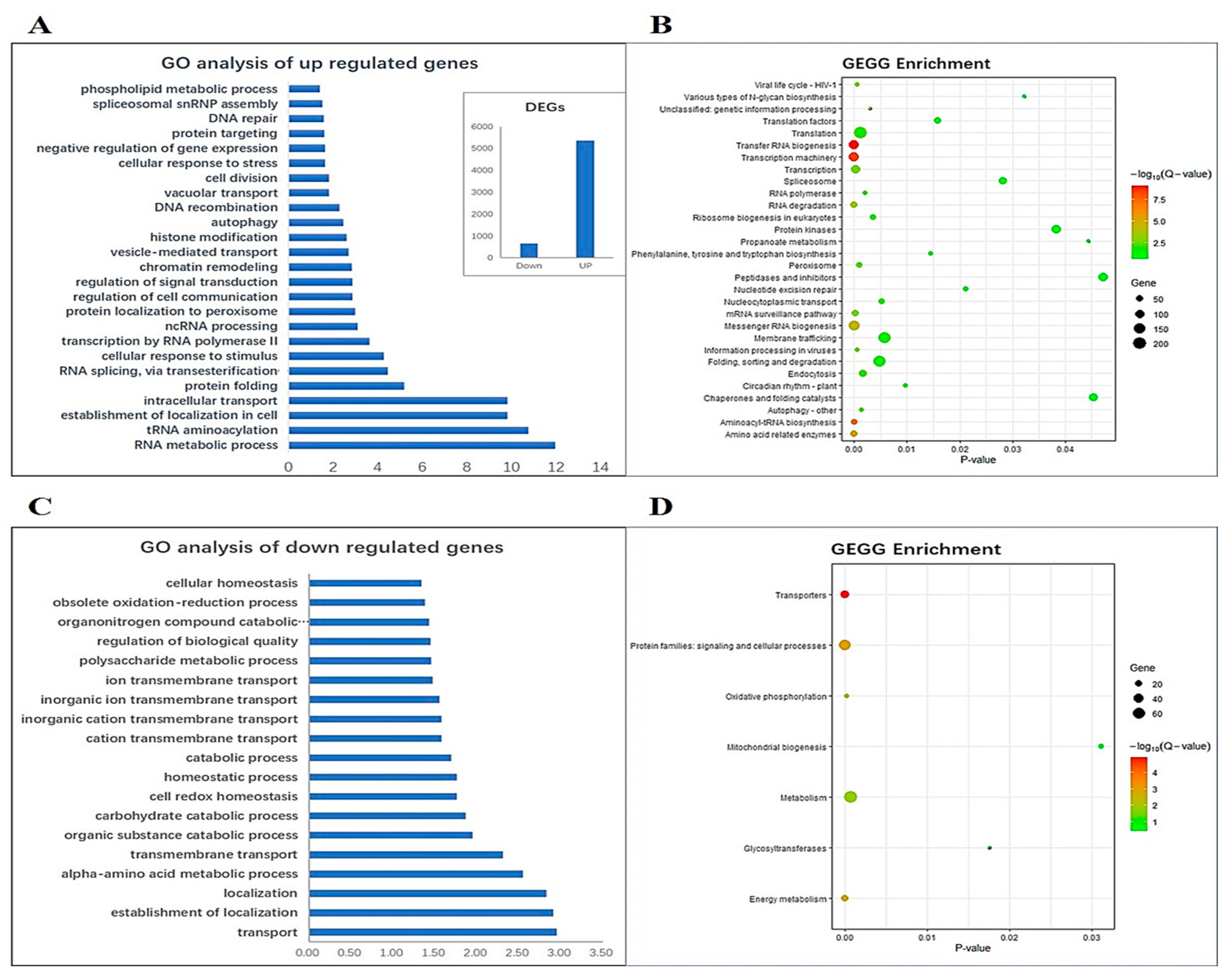 Plants 13 01850 g006 Plants 13 01850 g006