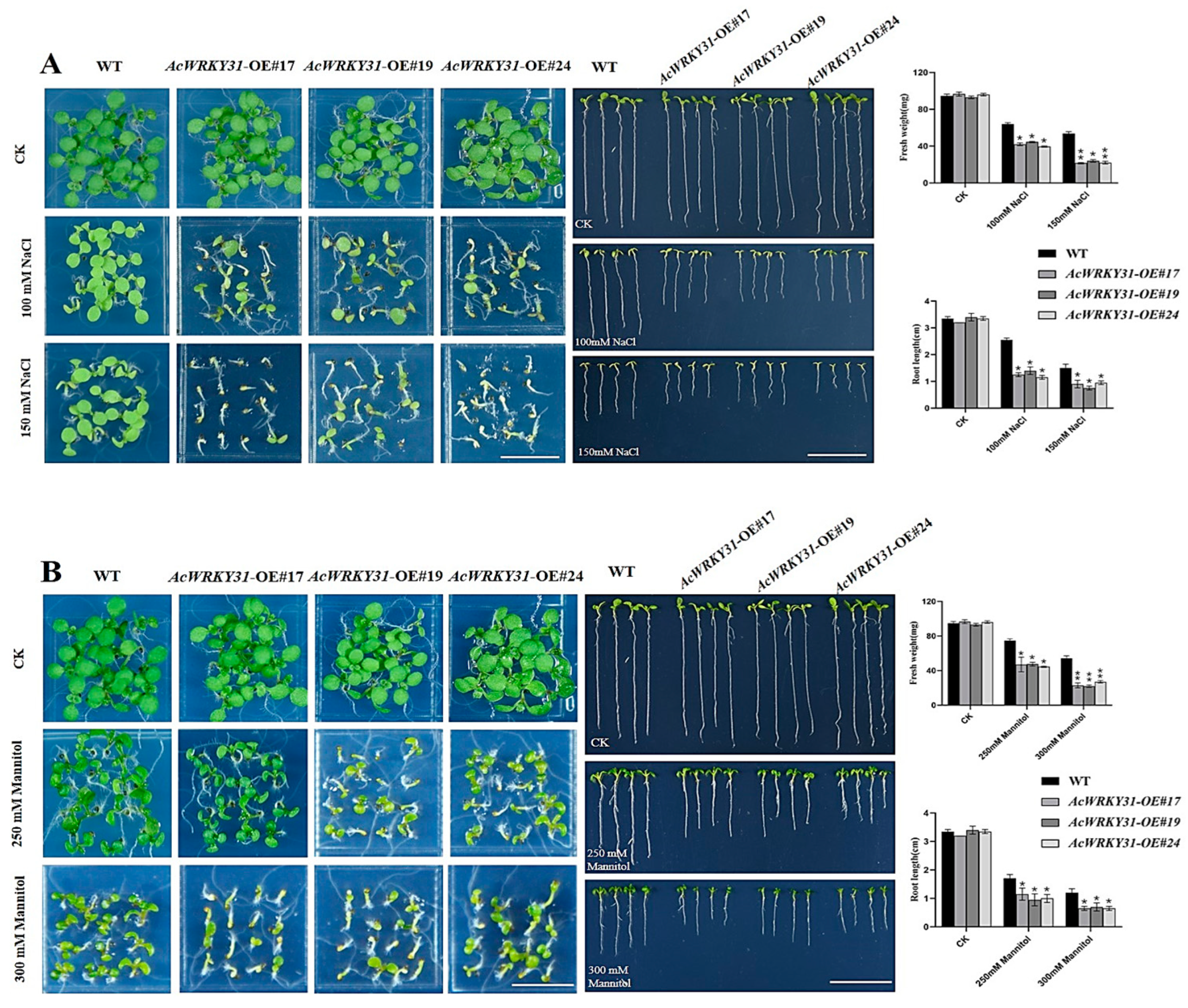 Plants 13 01850 g007a Plants 13 01850 g007a