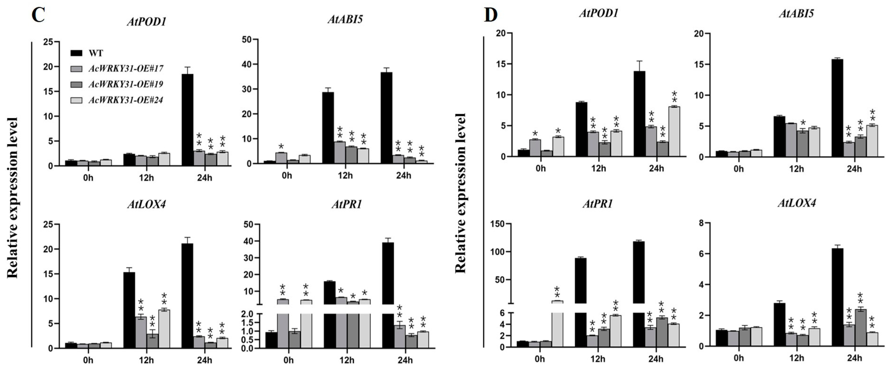 Plants 13 01850 g007b Plants 13 01850 g007b