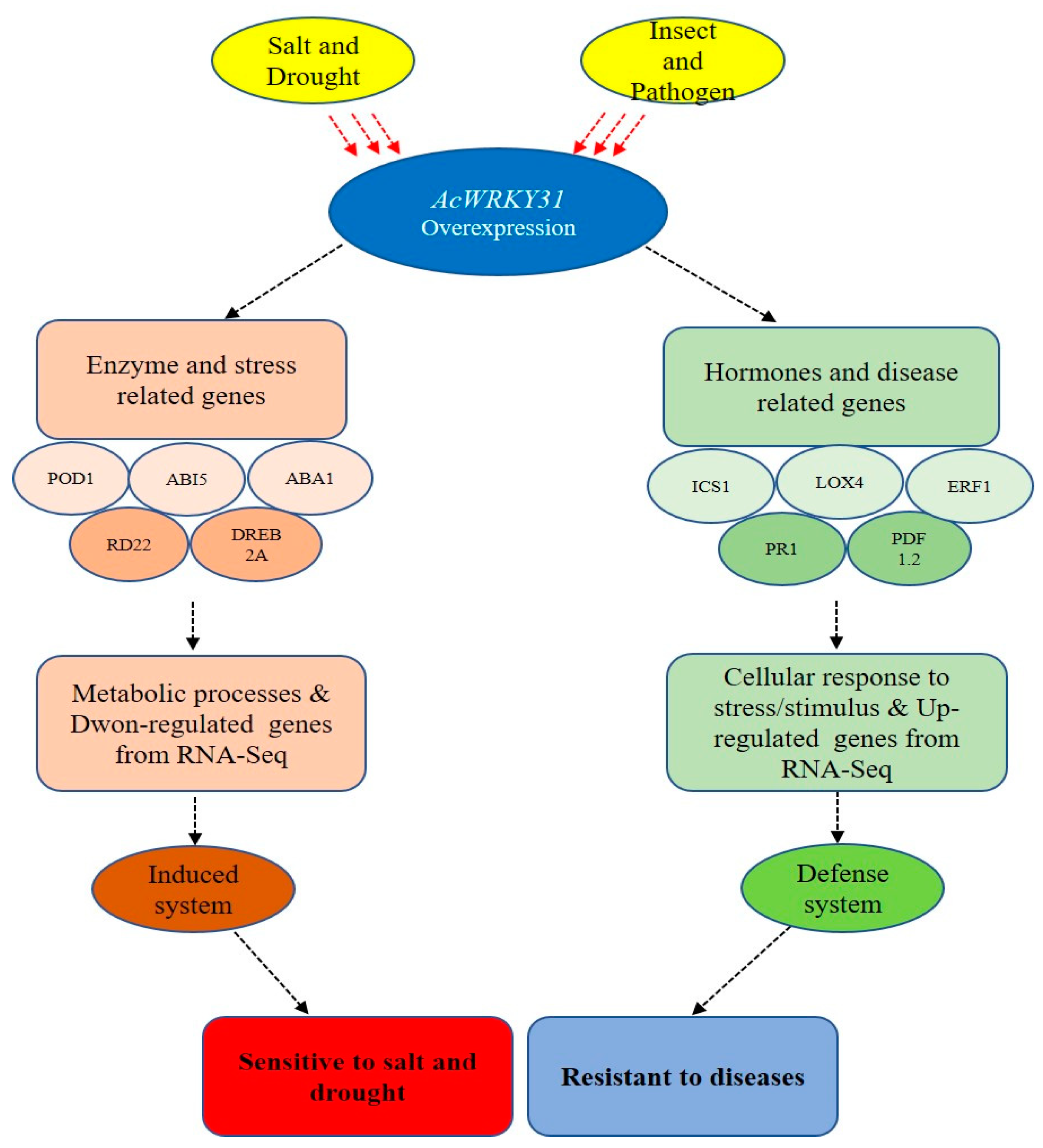 Plants 13 01850 g010 Plants 13 01850 g010