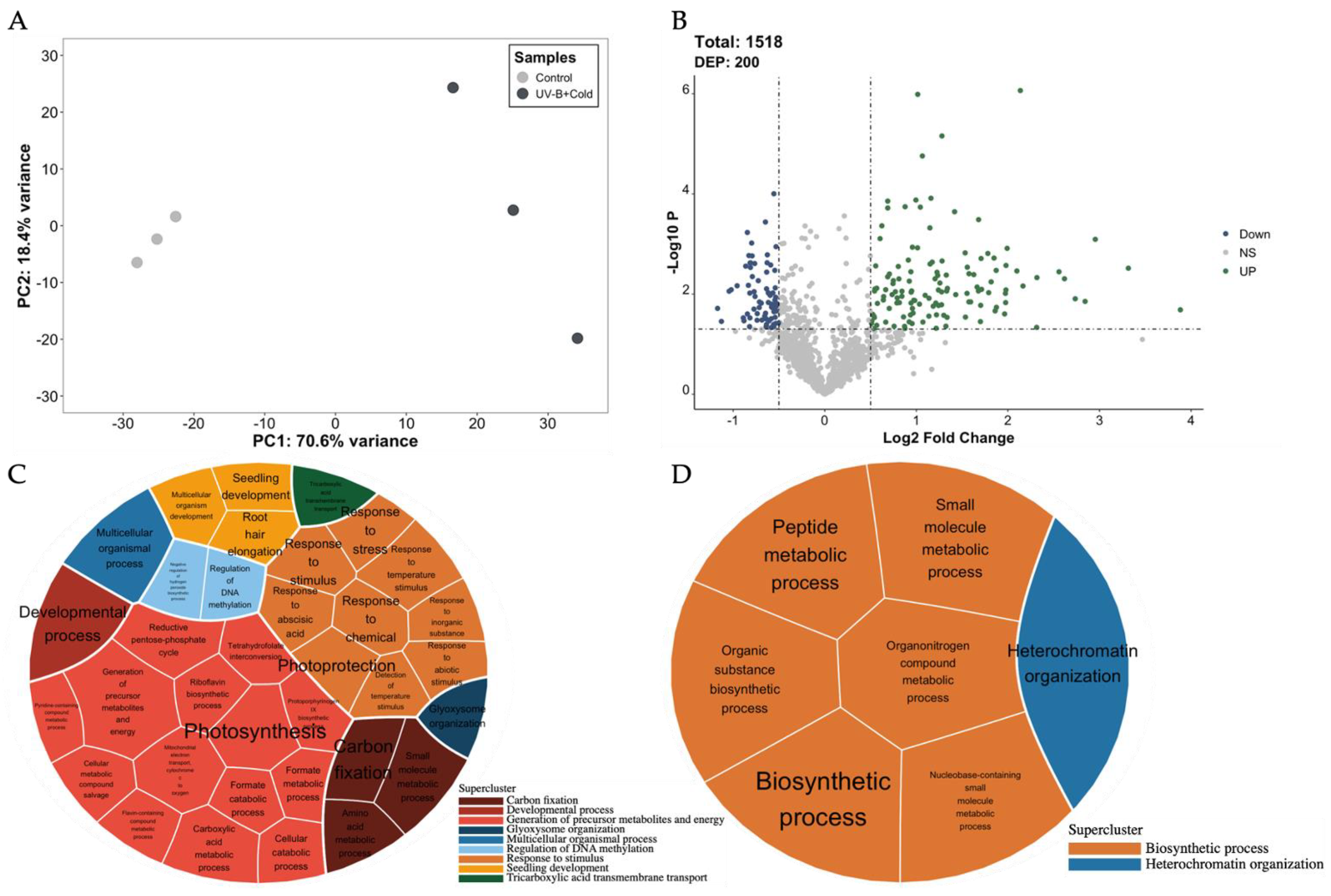 Plants 13 01861 g001 Plants 13 01861 g001