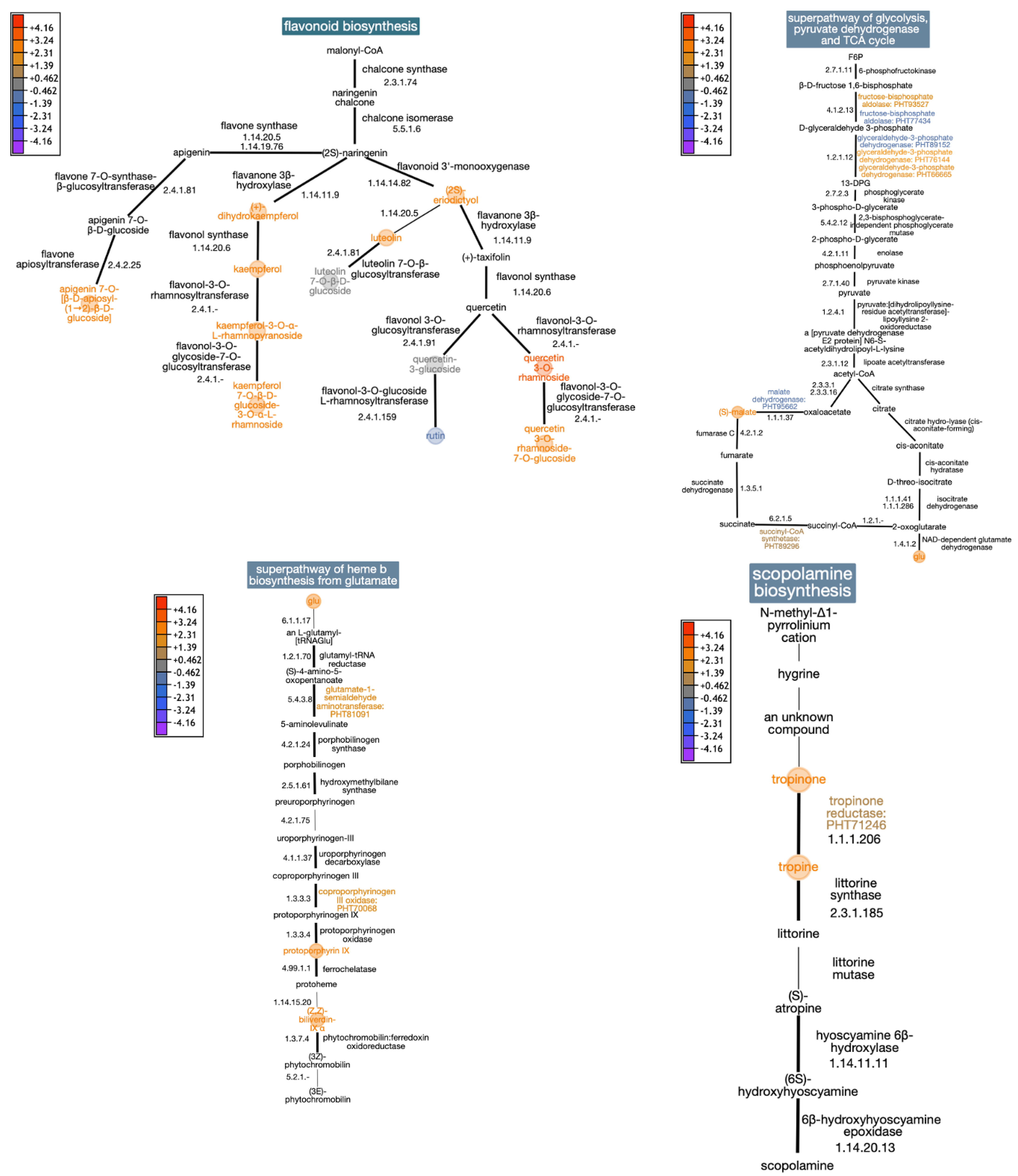 Plants 13 01861 g003 Plants 13 01861 g003