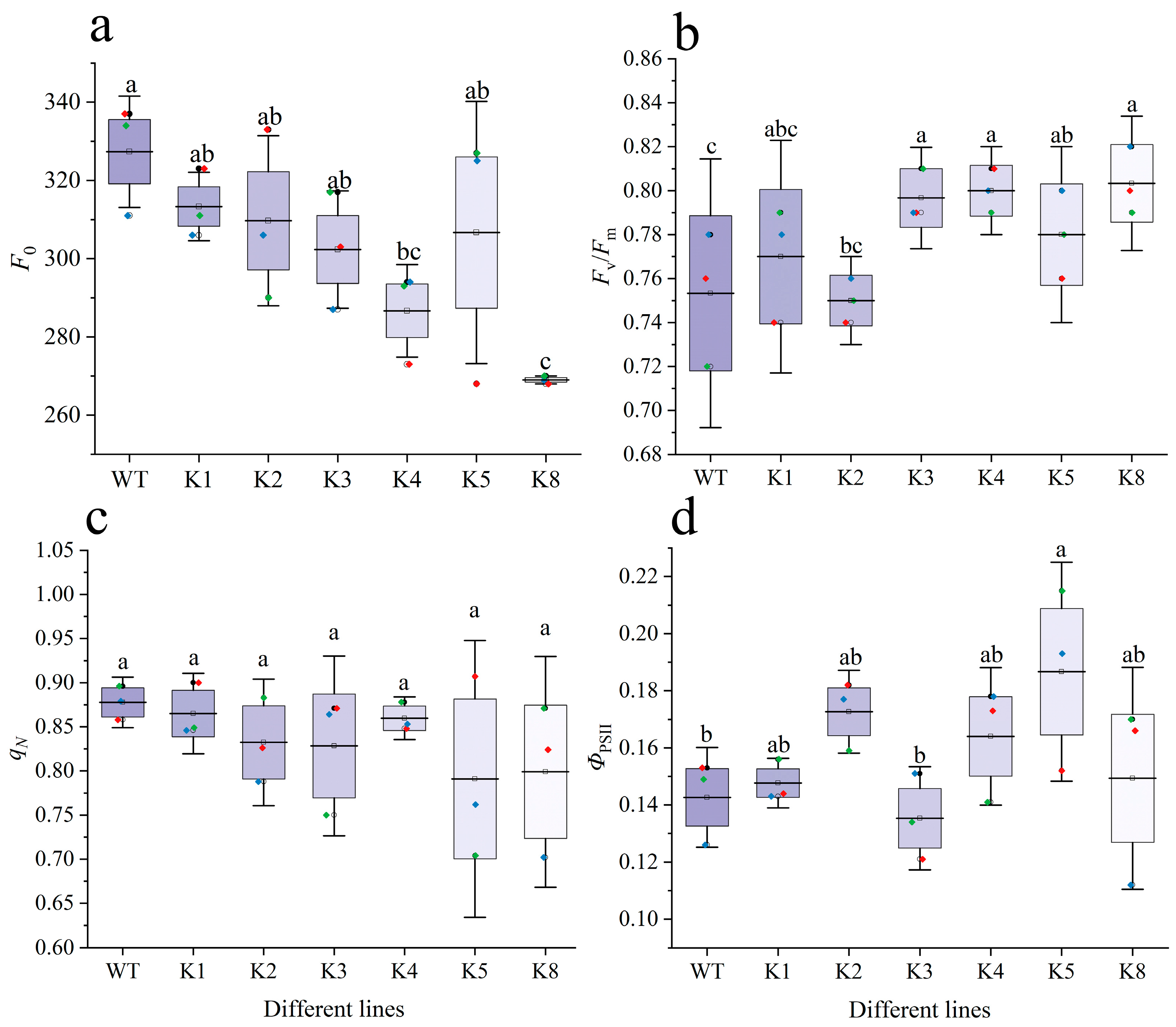 Plants 13 01867 g007