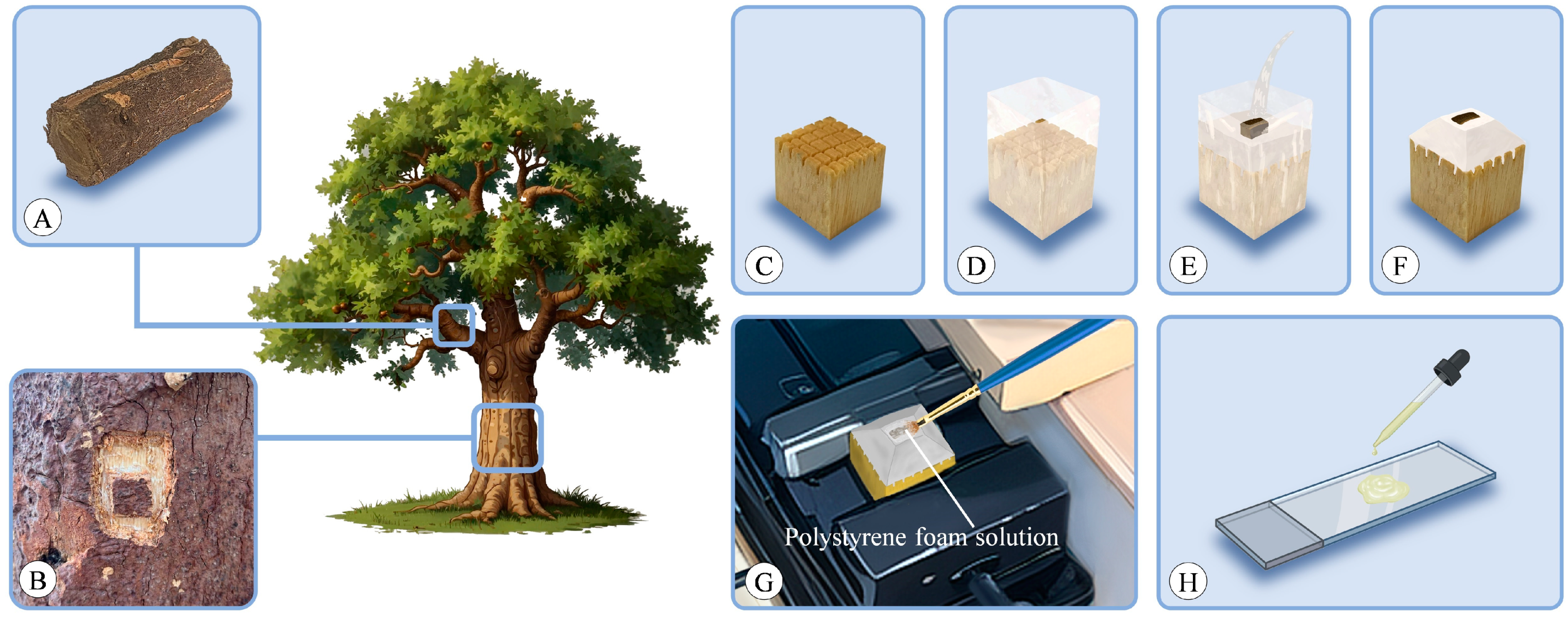 Plants 13 01871 g013