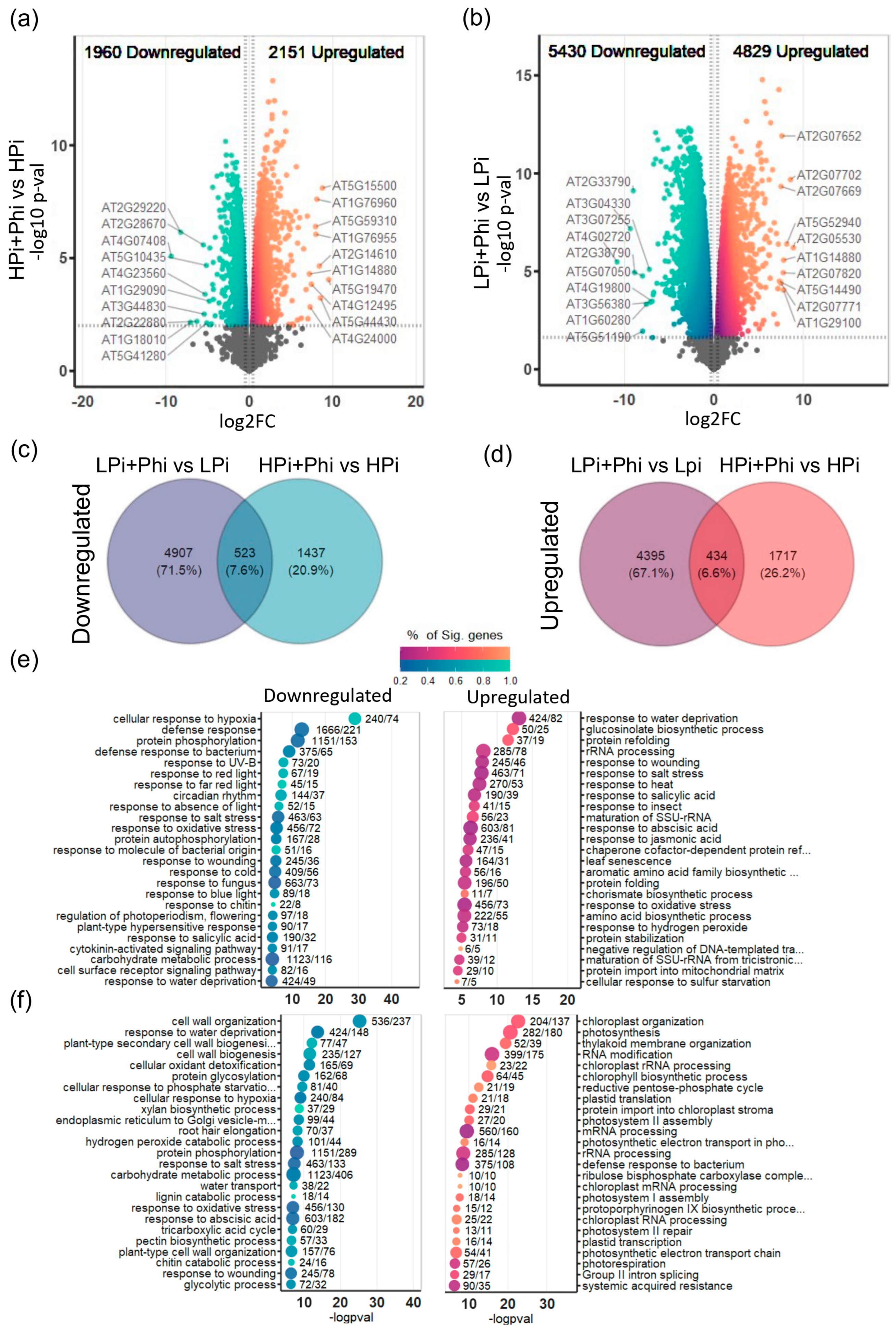 Plants 13 01873 g002
