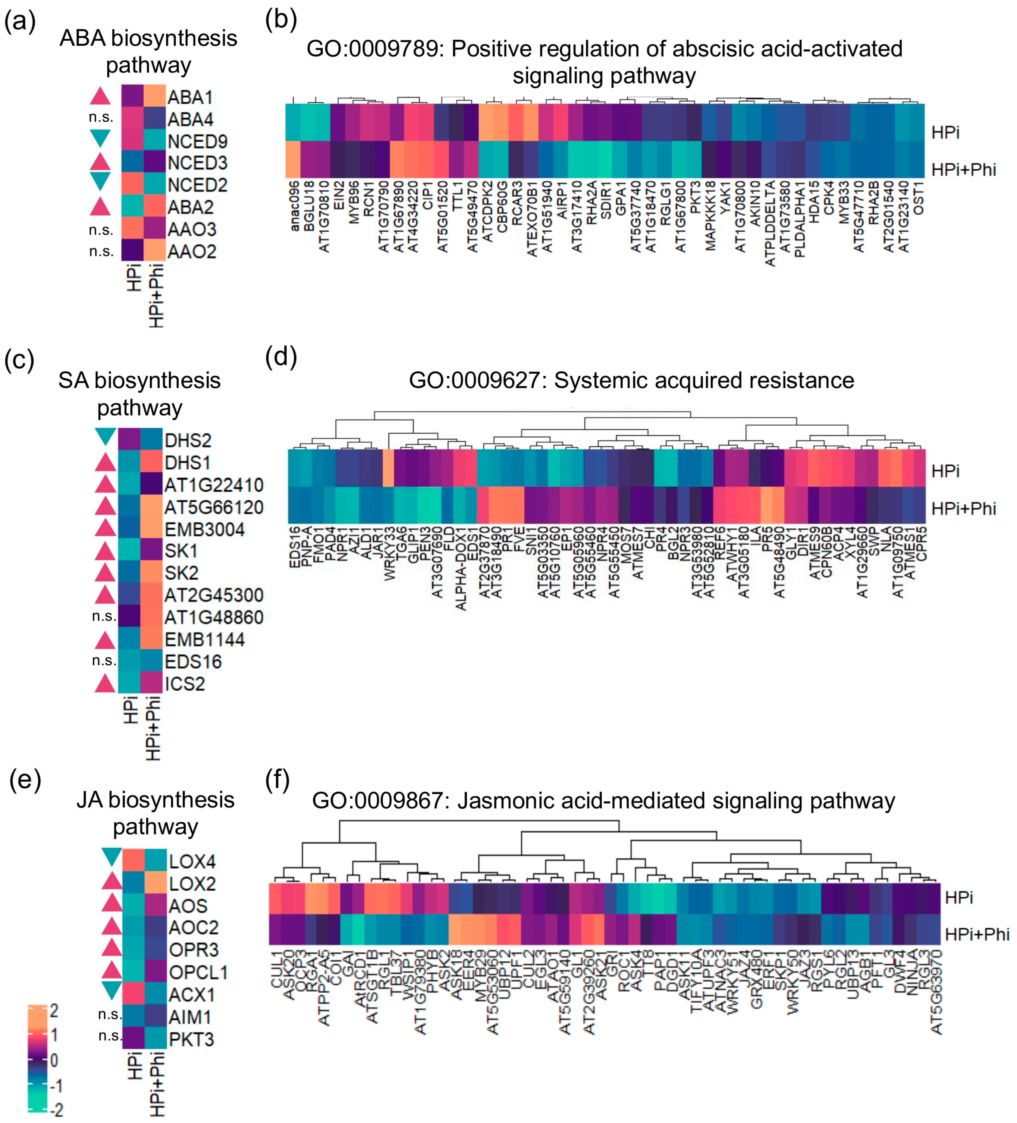 Plants 13 01873 g003