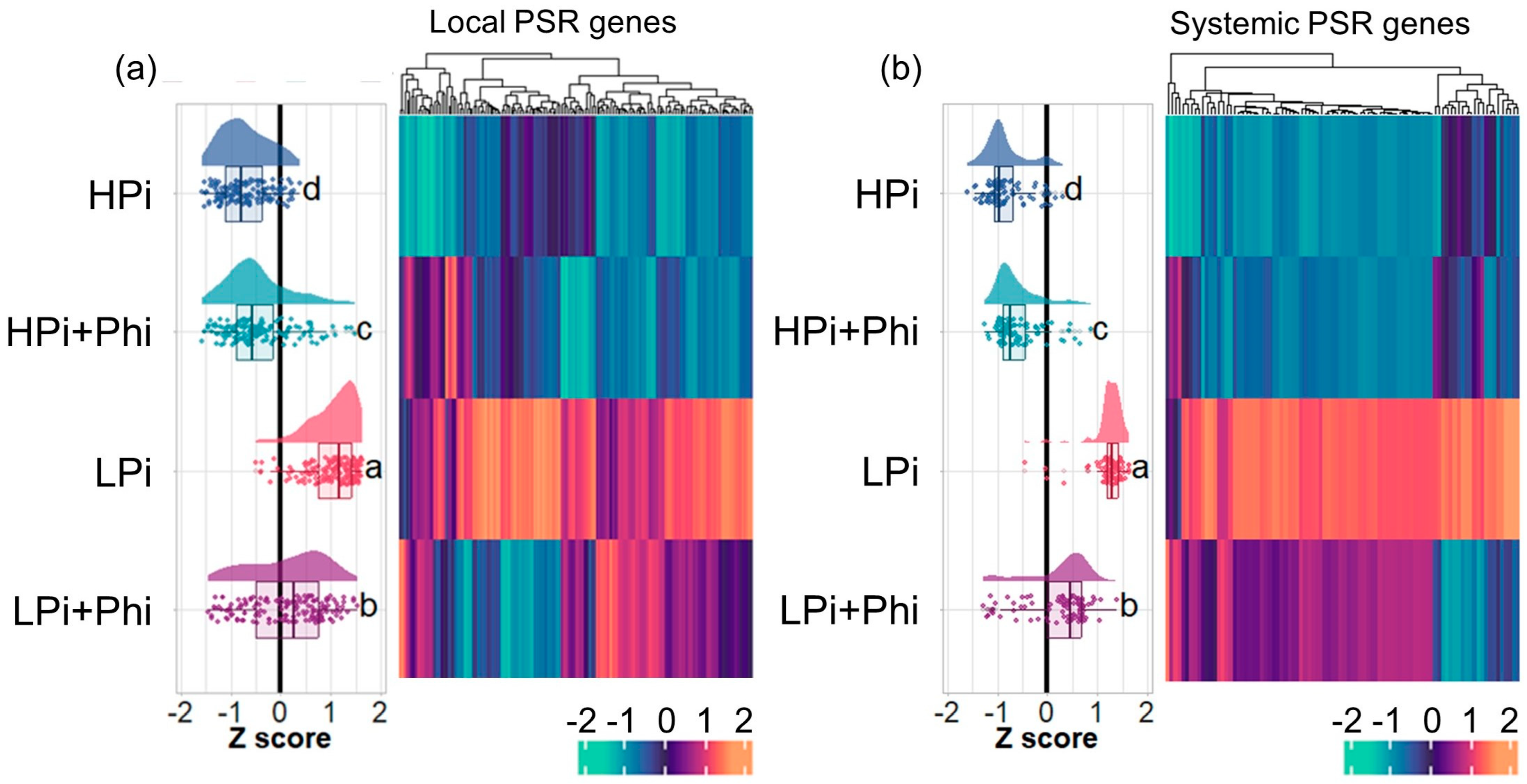 Plants 13 01873 g004