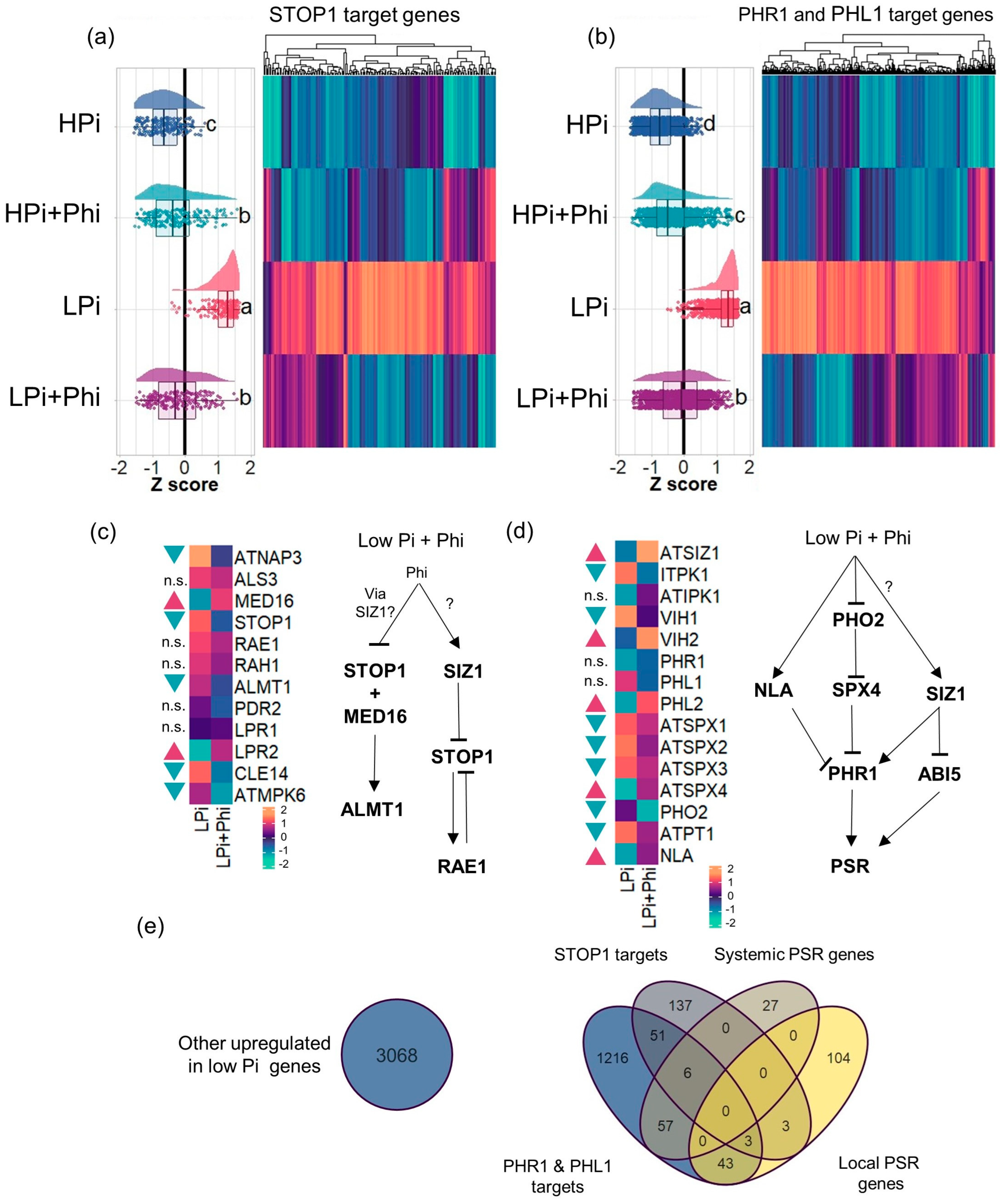 Plants 13 01873 g005