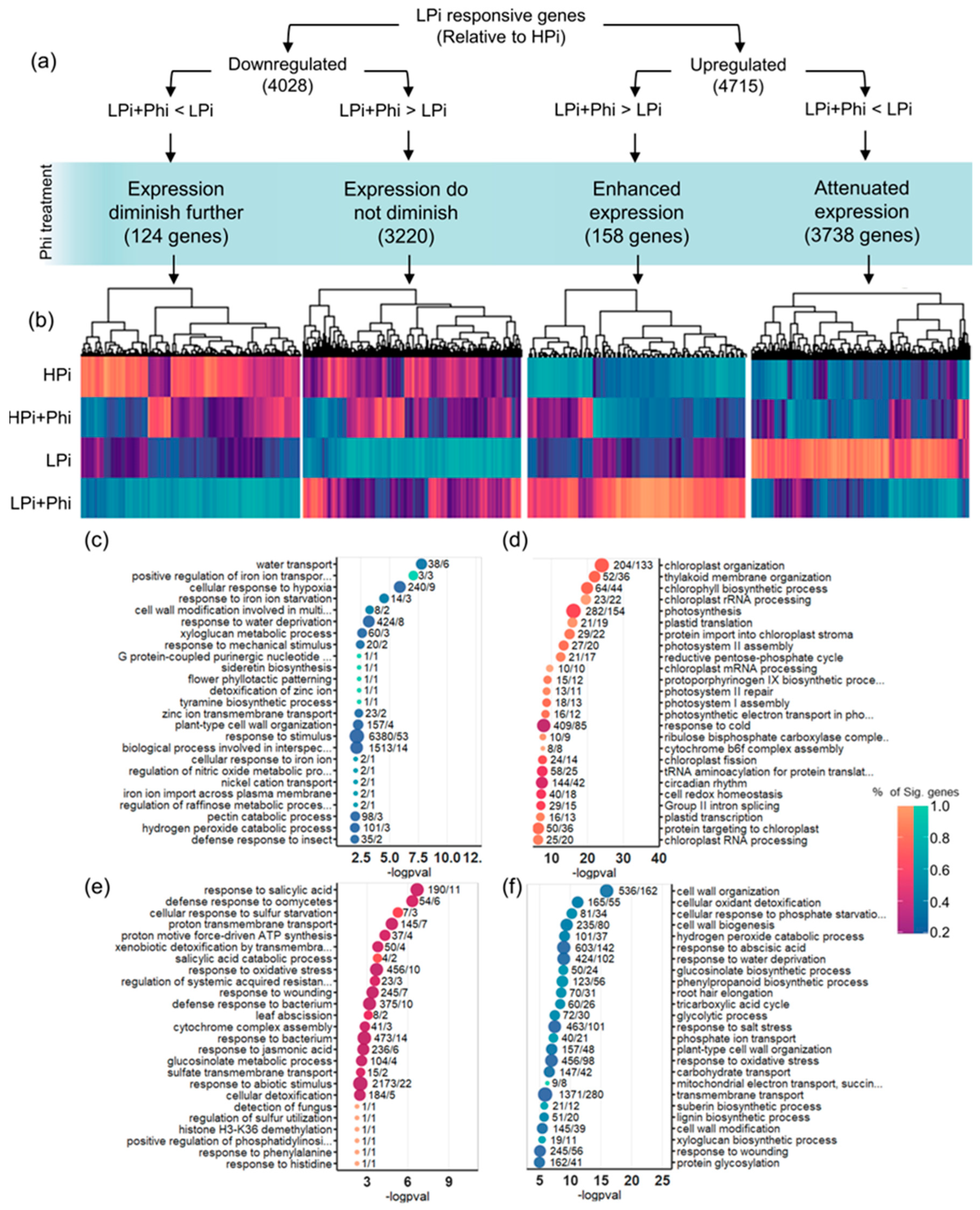 Plants 13 01873 g006